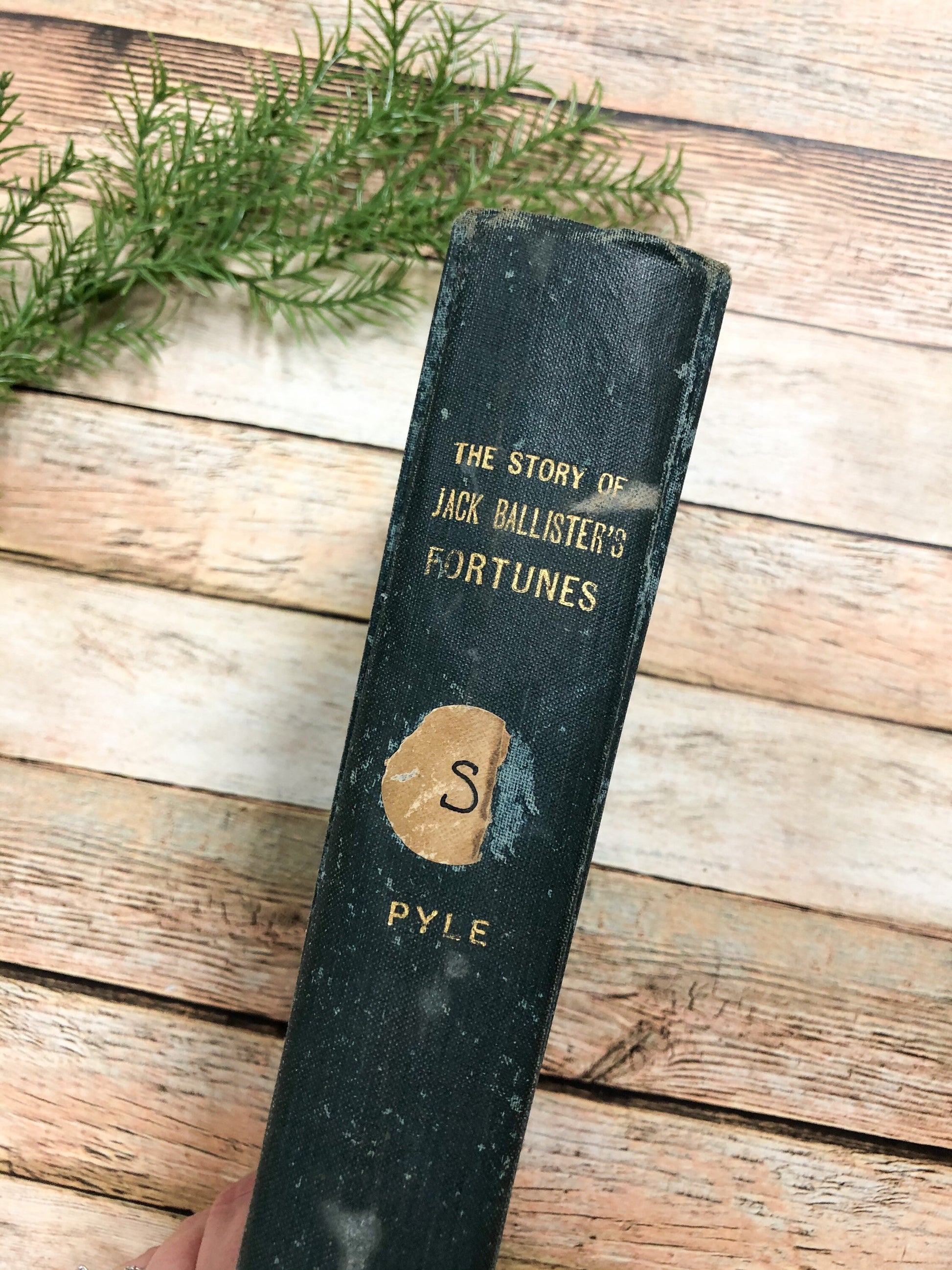 The Story of Jack Ballister's Fortunes by Howard Pyle