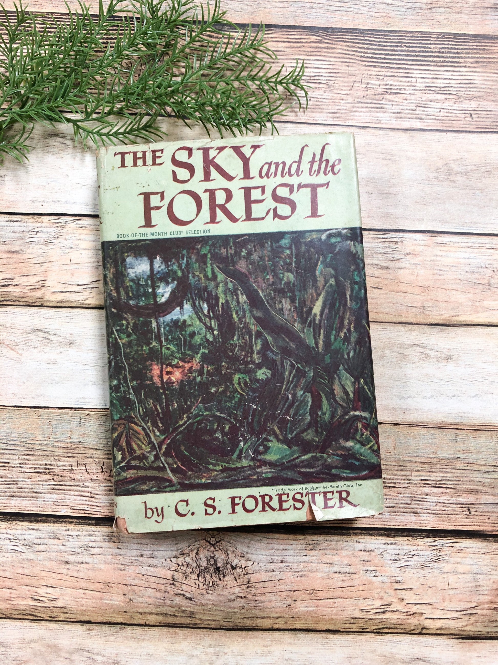 Vintage Book by C. S. Forester, The Sky and the Forest