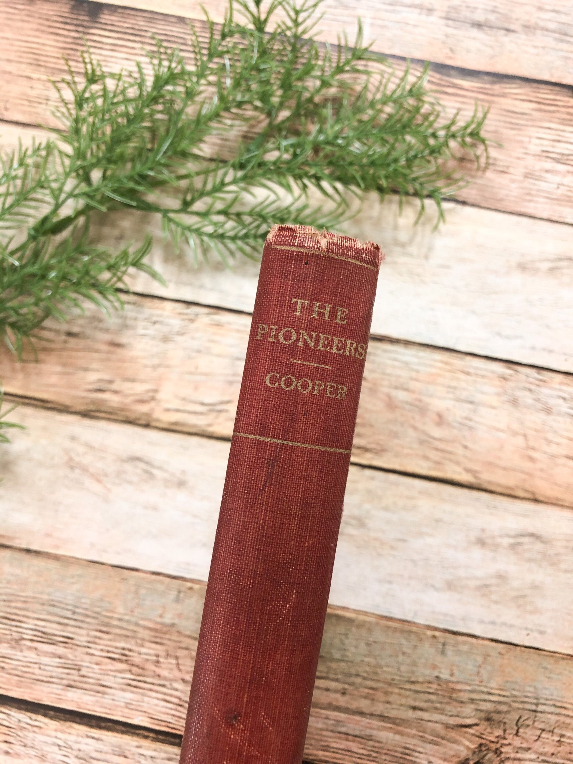Vintage Book, The Pioneers by J Fenimore Cooper