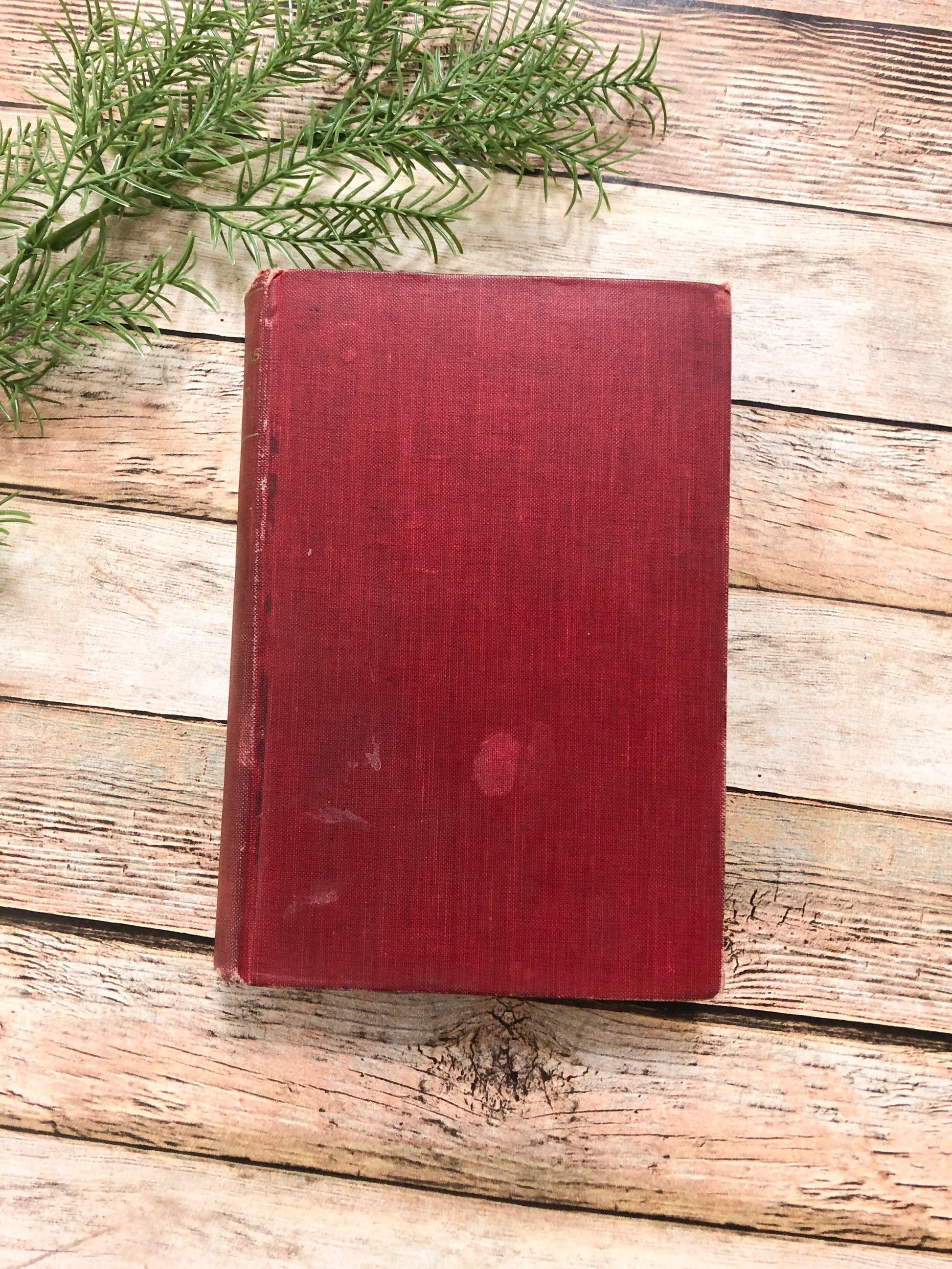Vintage Book, The Pioneers by J Fenimore Cooper