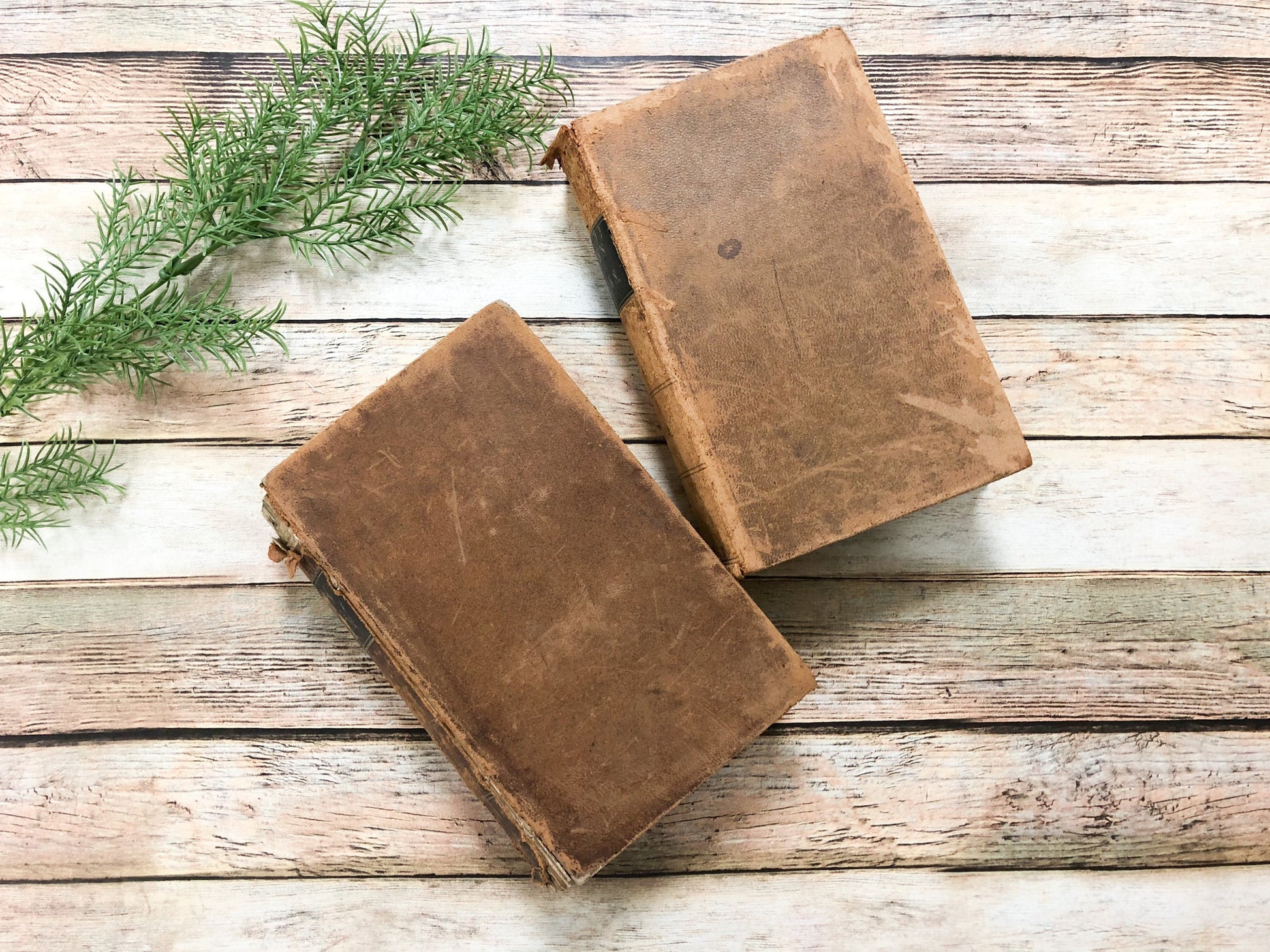 Rare Books, Religious Old Books, 1800's, Thomas Dick