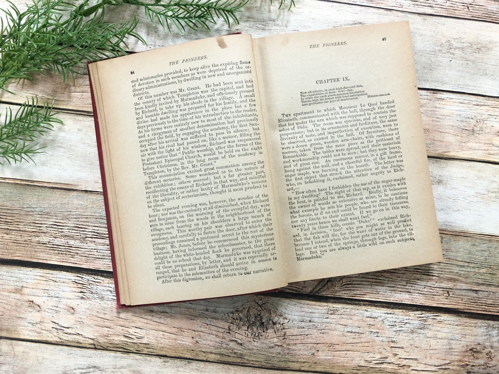 Vintage Book, The Pioneers by J Fenimore Cooper