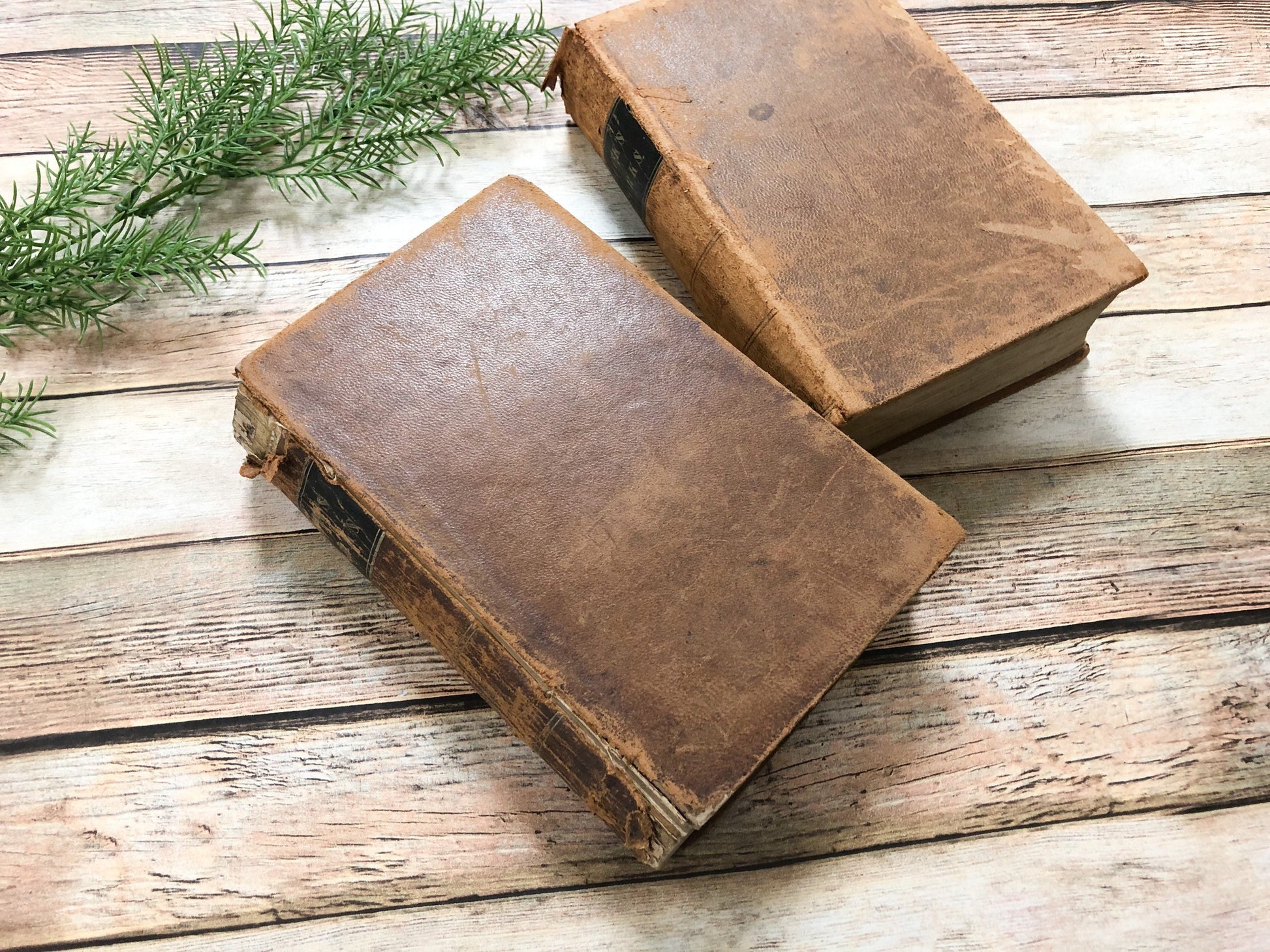 Rare Books, Religious Old Books, 1800's, Thomas Dick