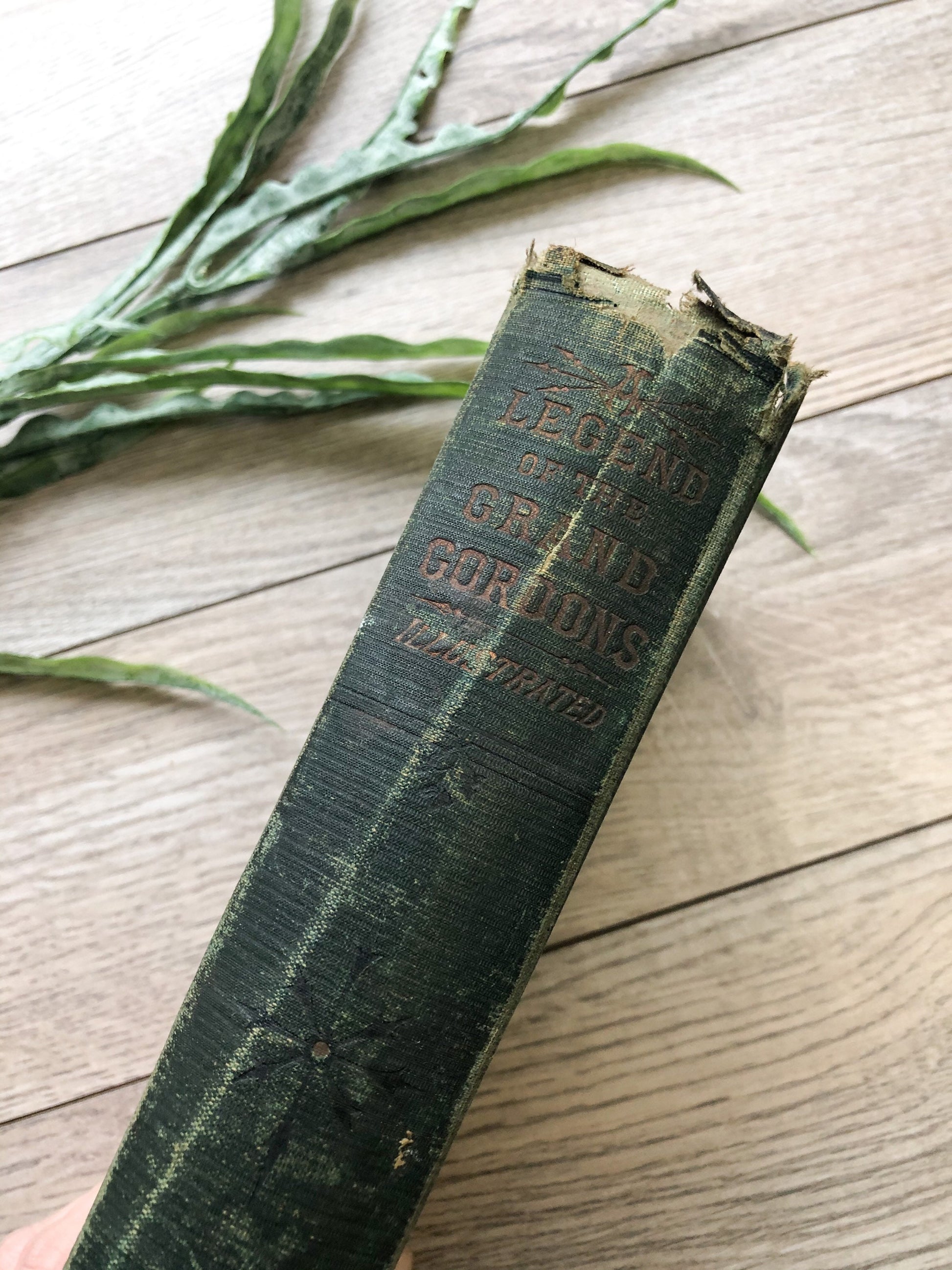 Rare Book, A Legend of the Grand Gordons by Mrs. Alexander Ross
