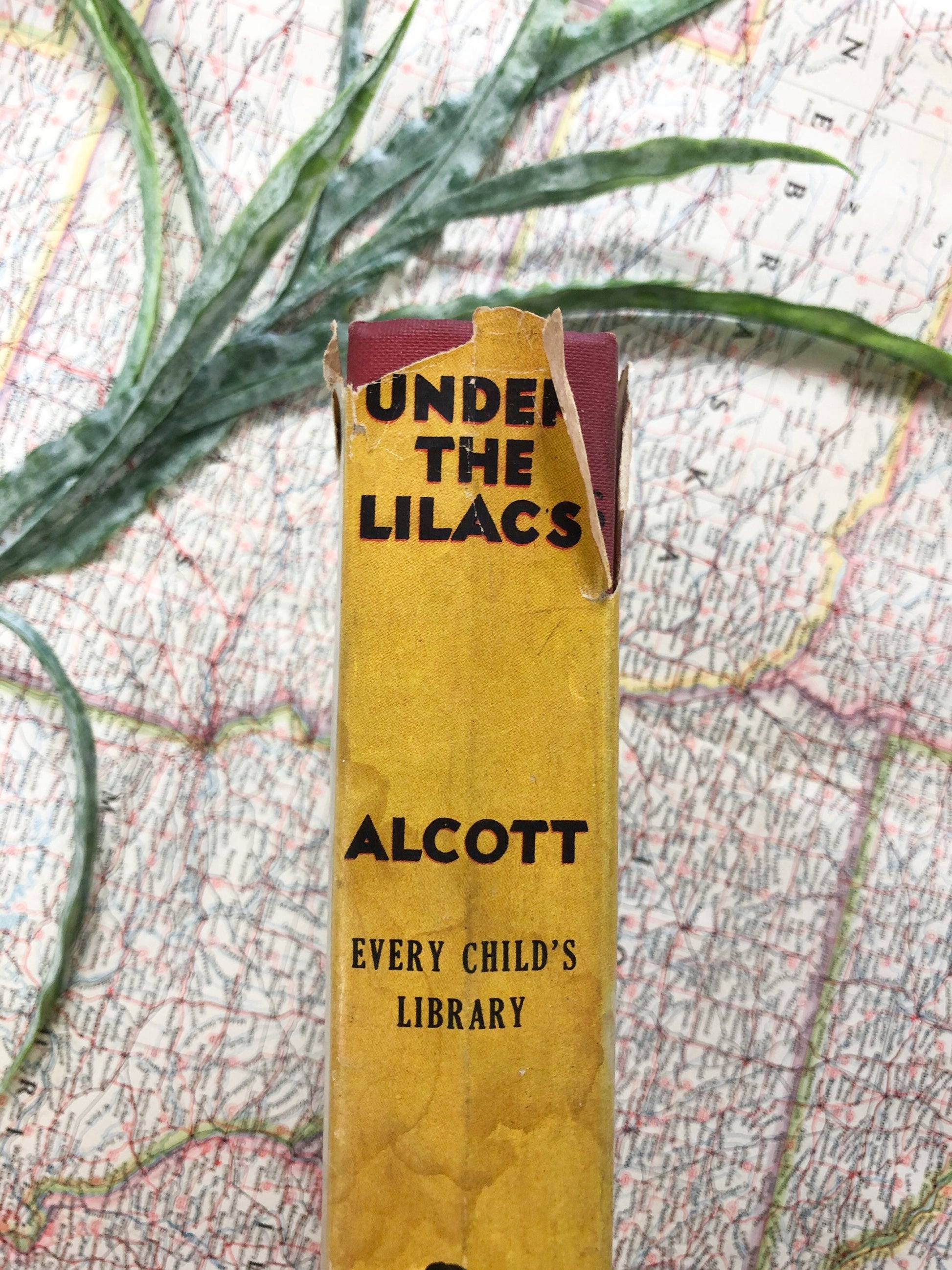 Vintage Book, Under the Lilacs by Louisa May Alcott
