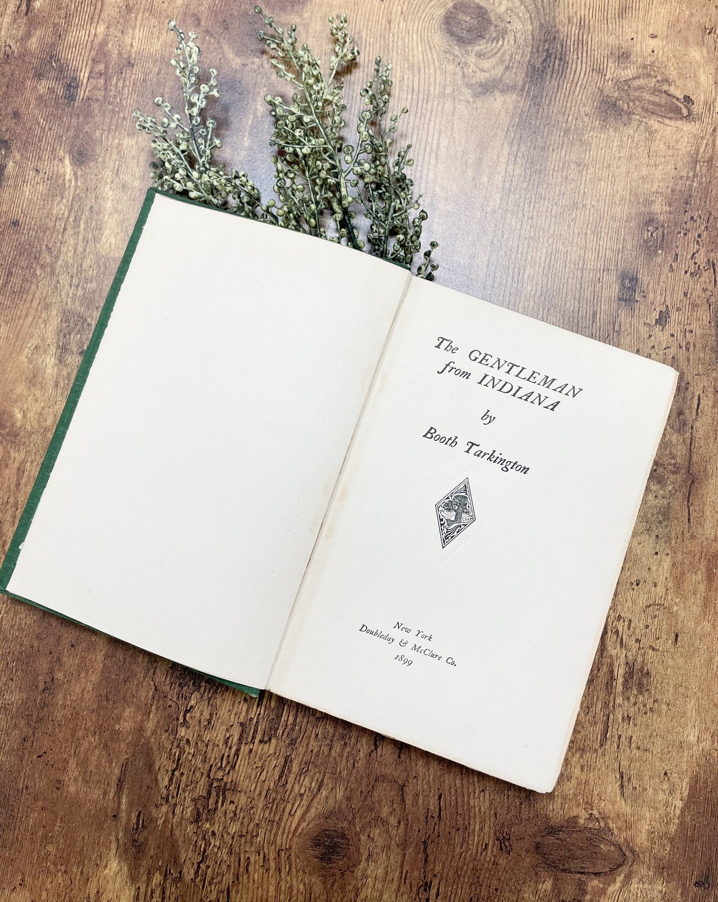 Antique Book, The Gentleman From Indiana