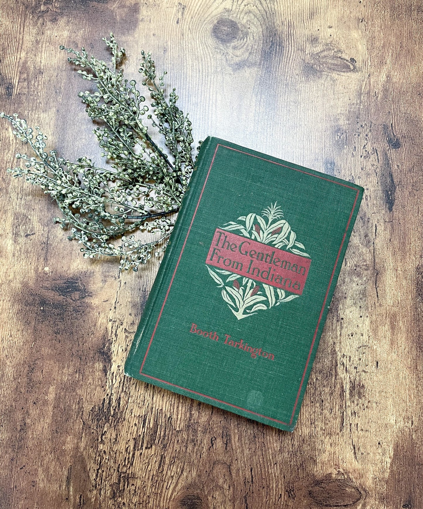 Antique Book, The Gentleman From Indiana