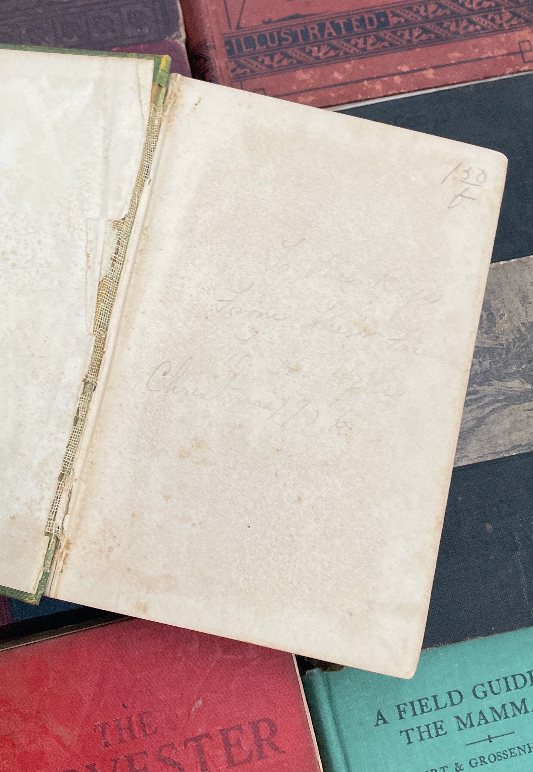 Beautiful Antique Book, The Adventures of Captain Horn
