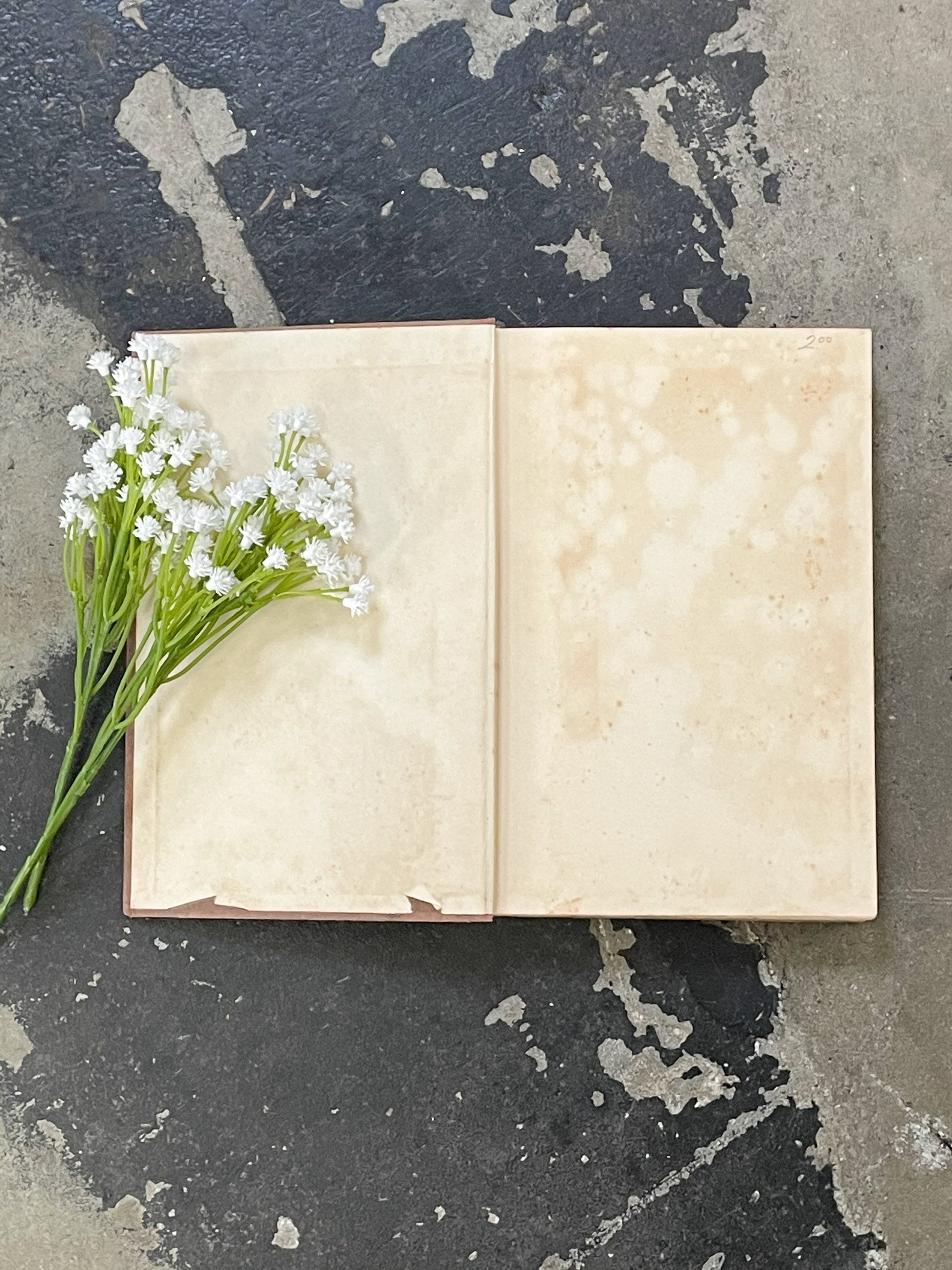 Antique Book, Captain Dreyfus