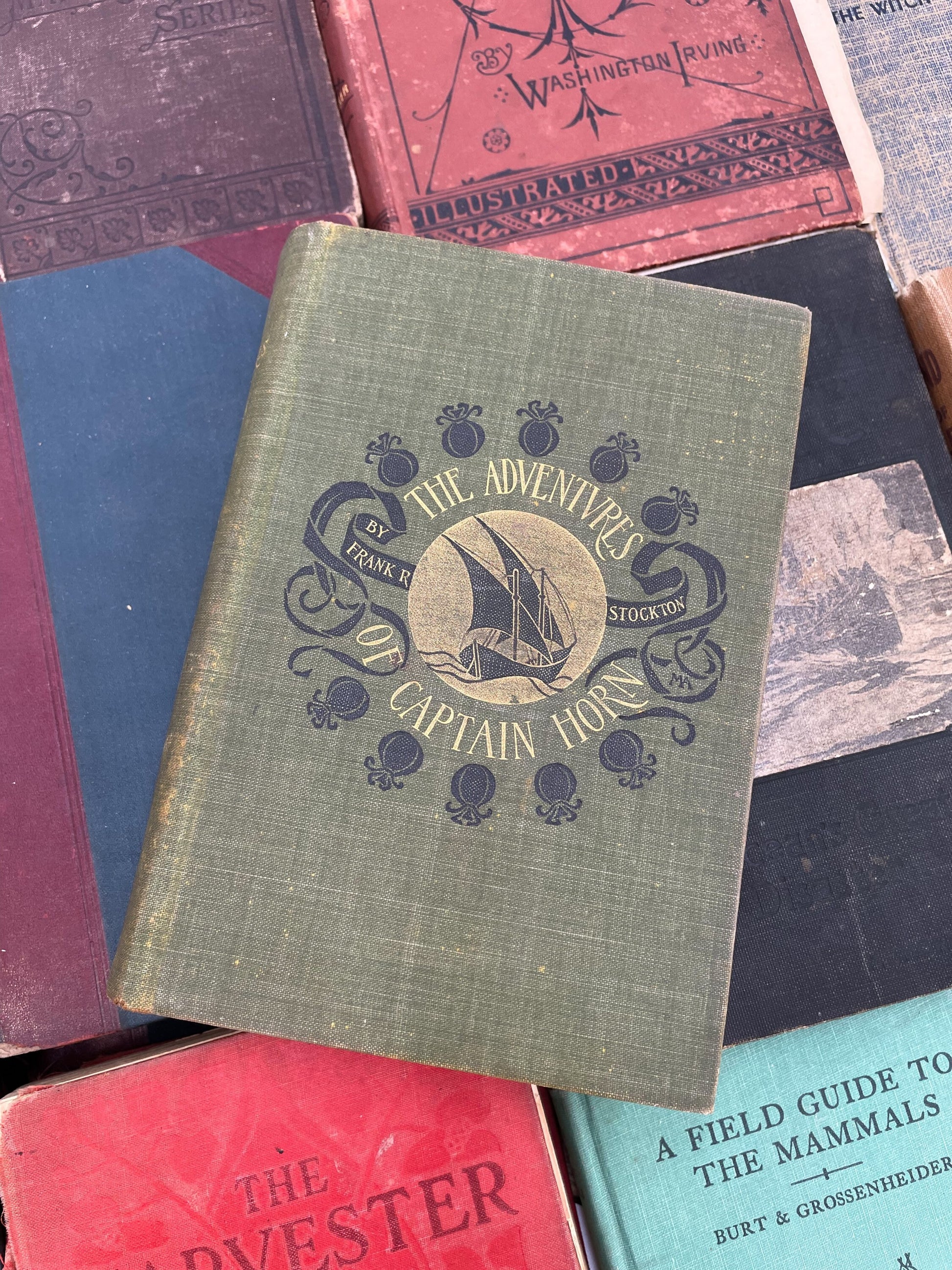 Beautiful Antique Book, The Adventures of Captain Horn