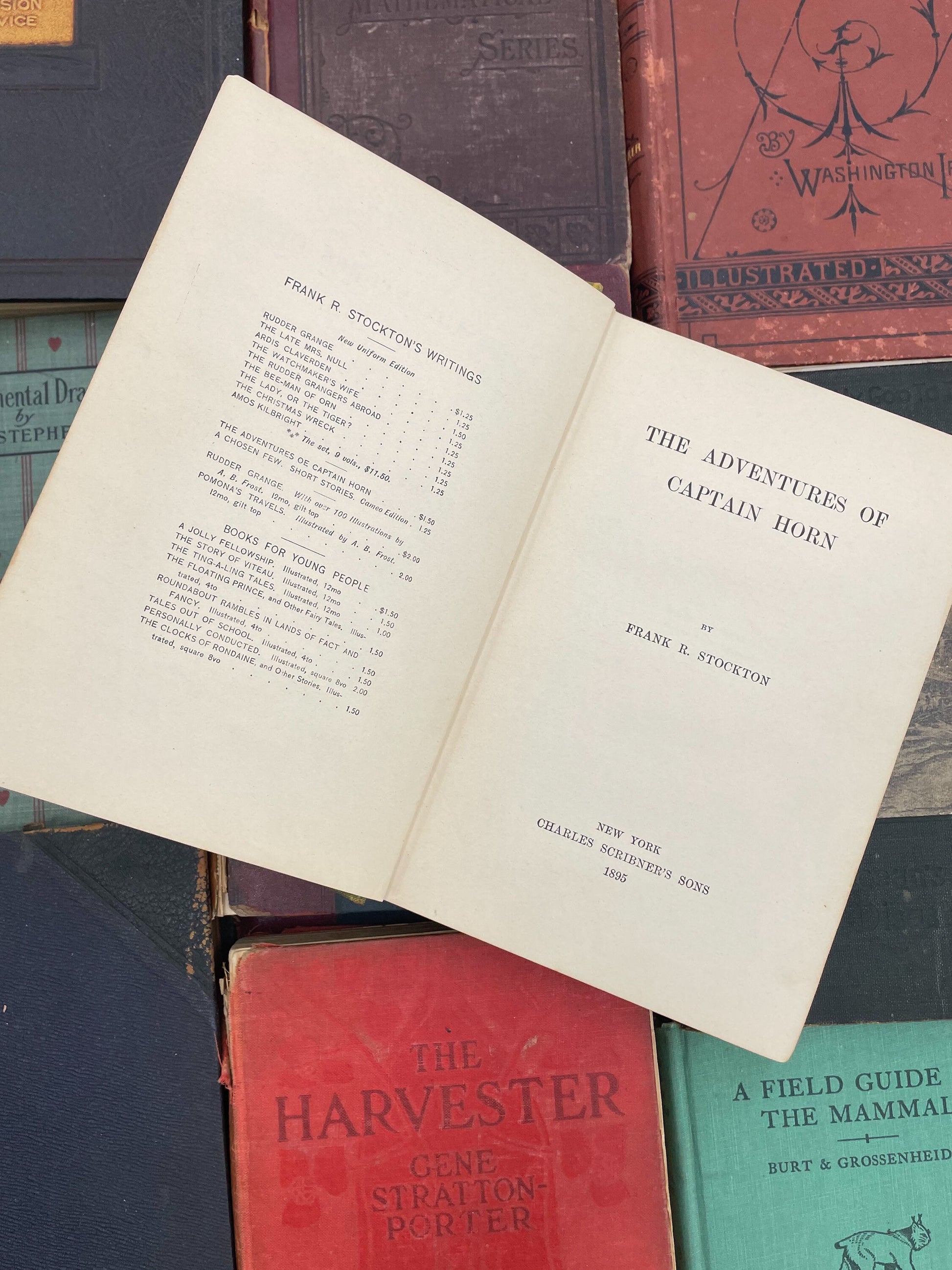Beautiful Antique Book, The Adventures of Captain Horn