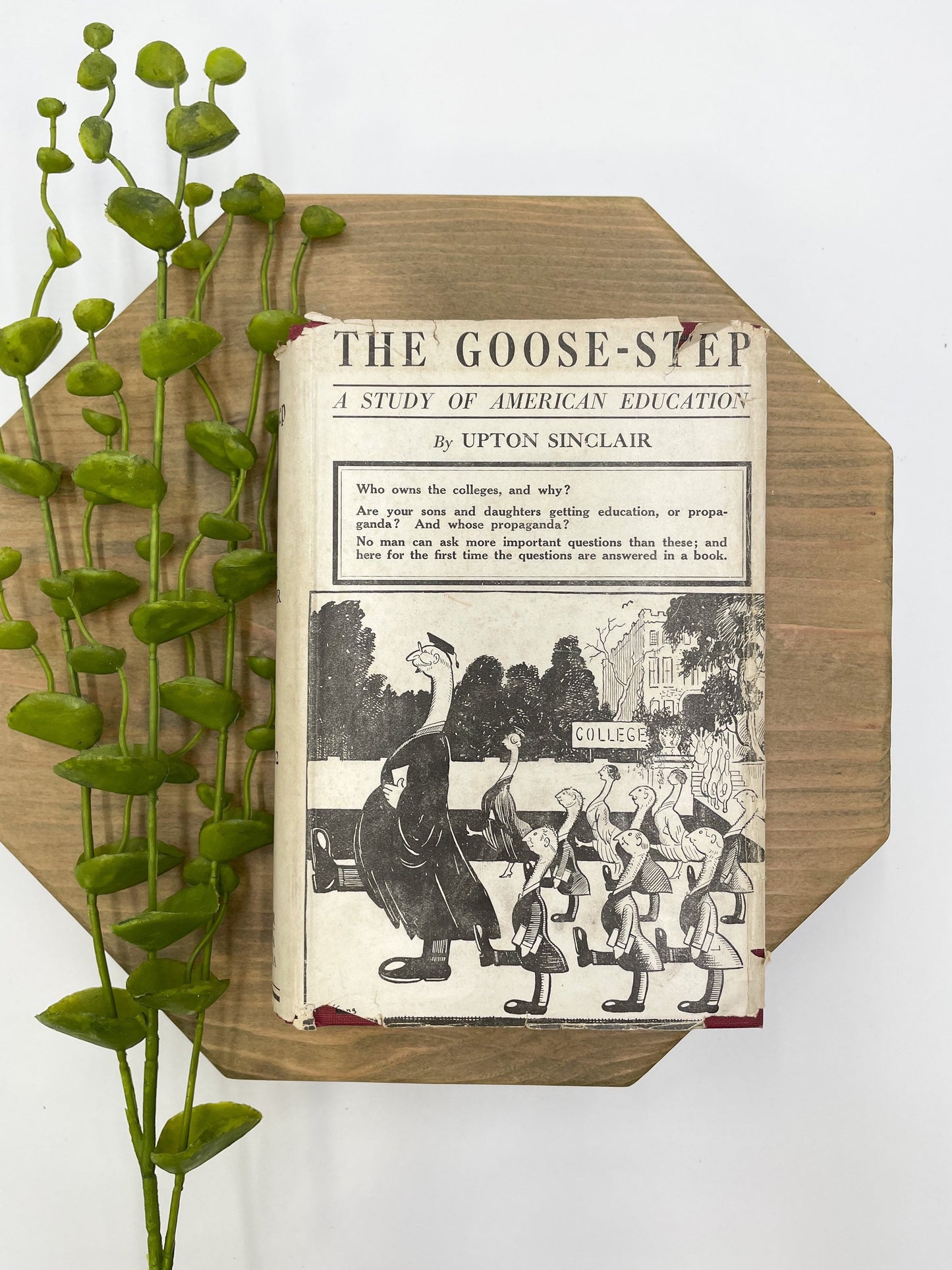 First Edition Vintage Book, The Goose-Step