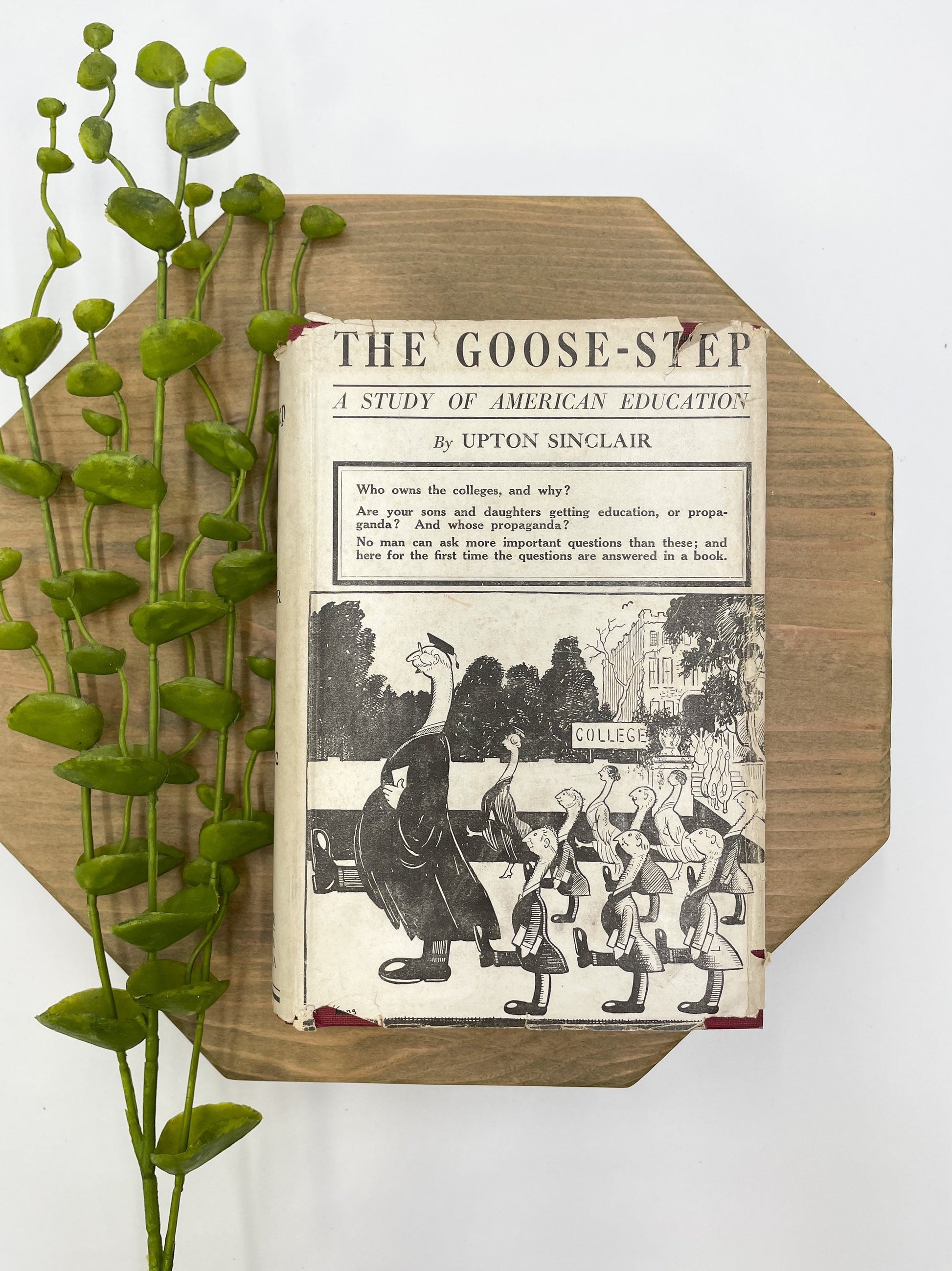 First Edition Vintage Book, The Goose-Step