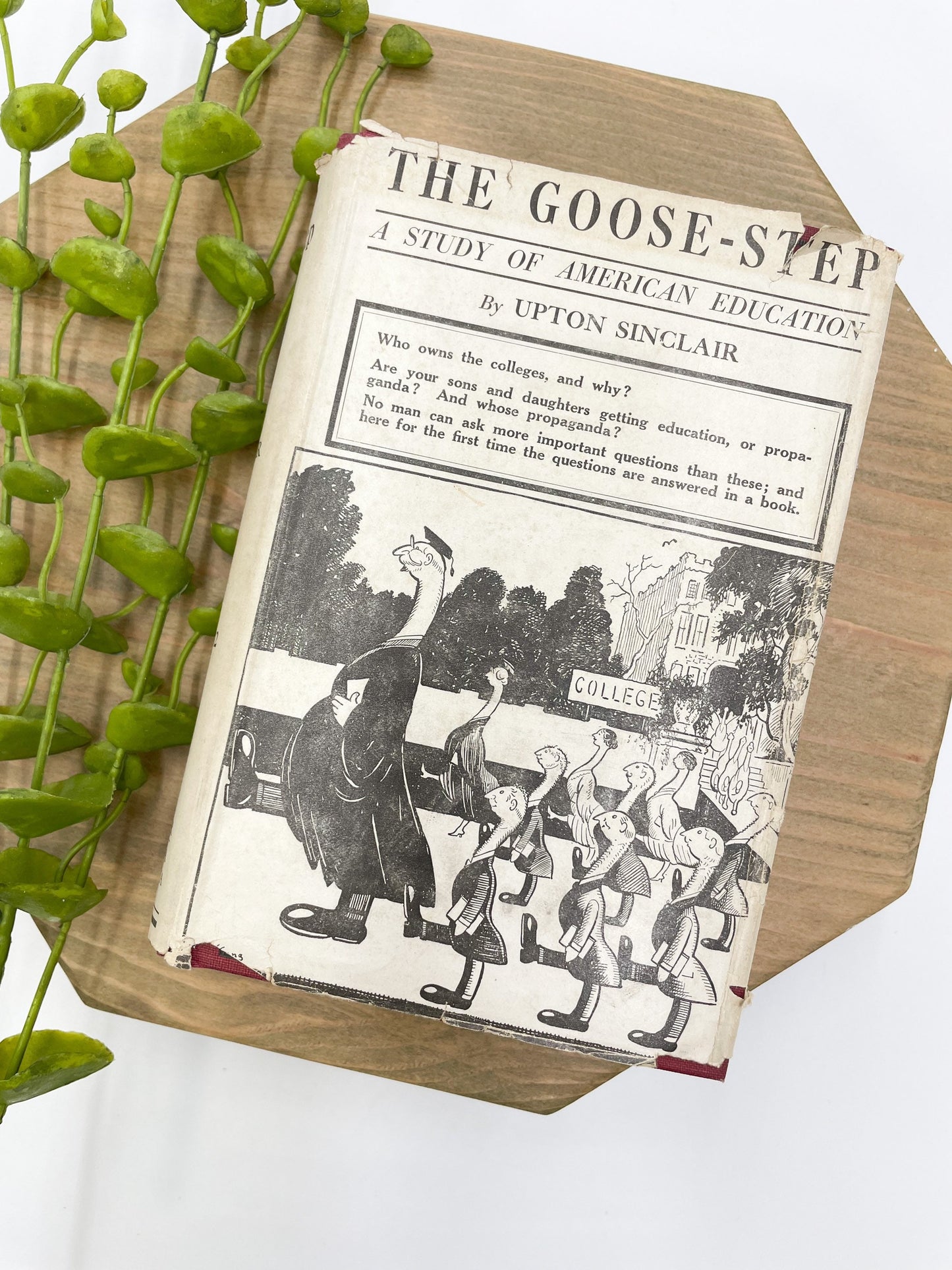 First Edition Vintage Book, The Goose-Step
