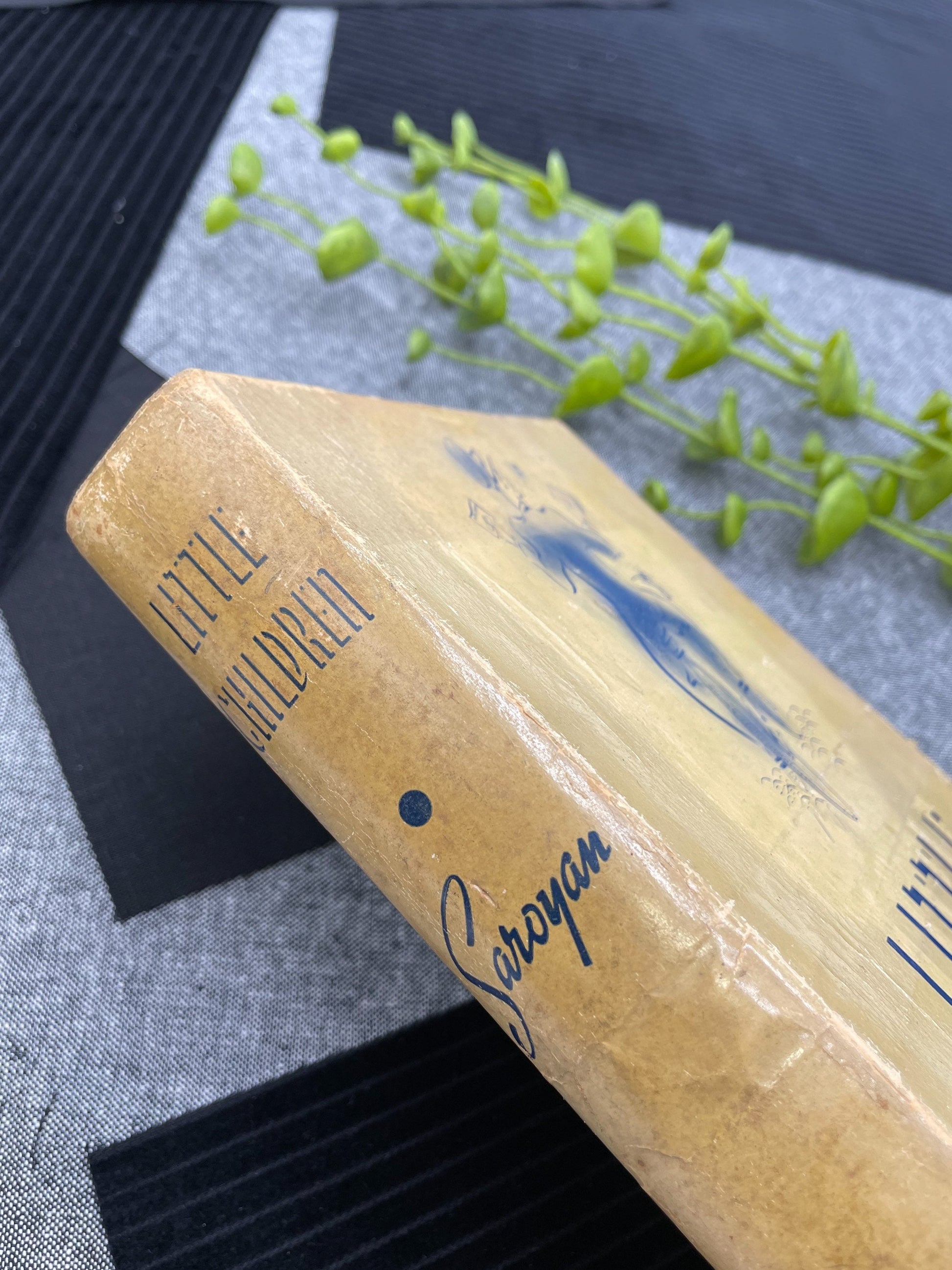 Rare Books, Little Children by William Saroyan