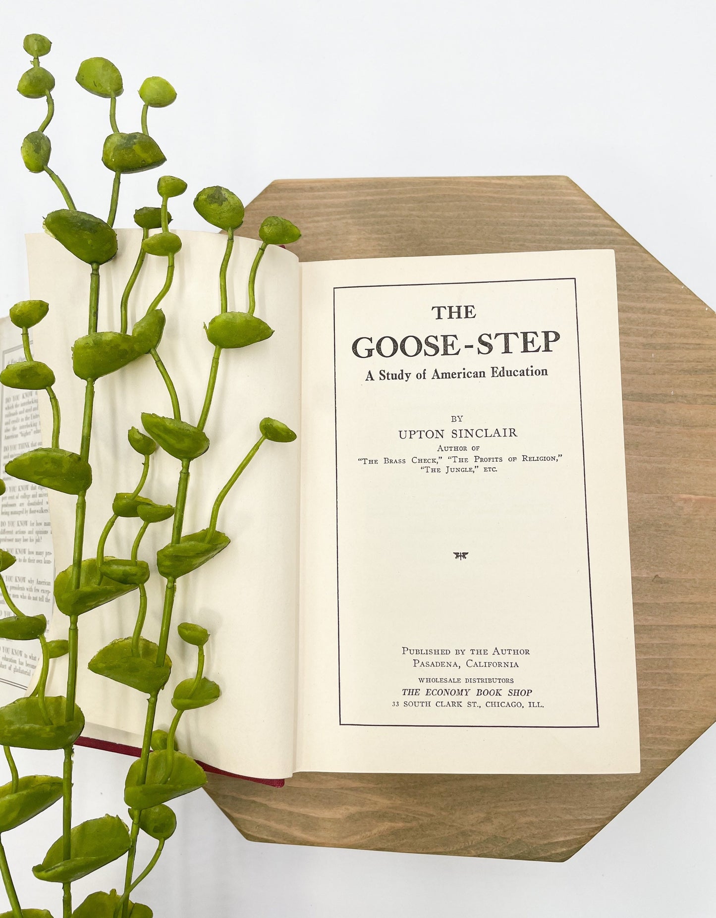 First Edition Vintage Book, The Goose-Step