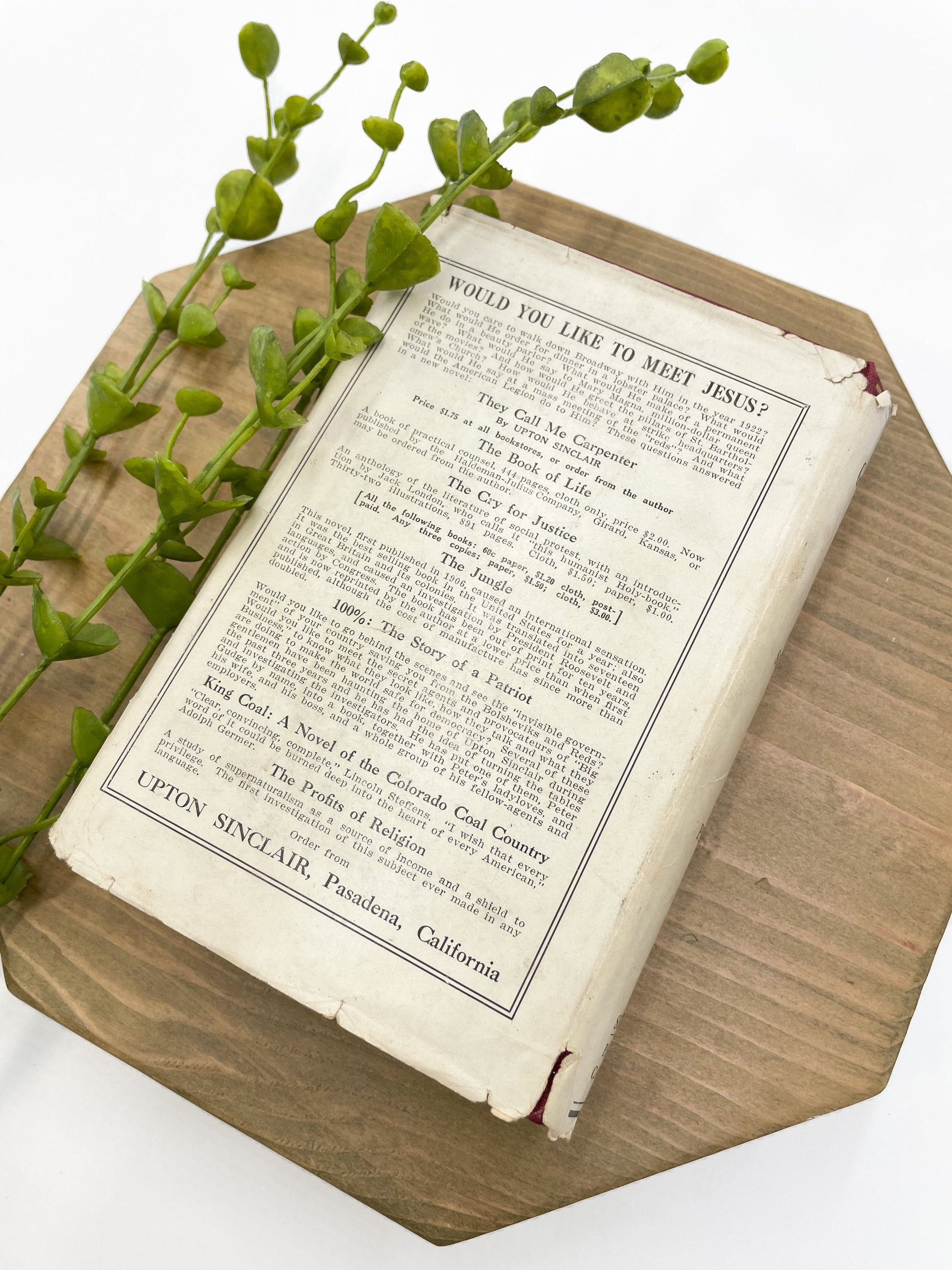 First Edition Vintage Book, The Goose-Step