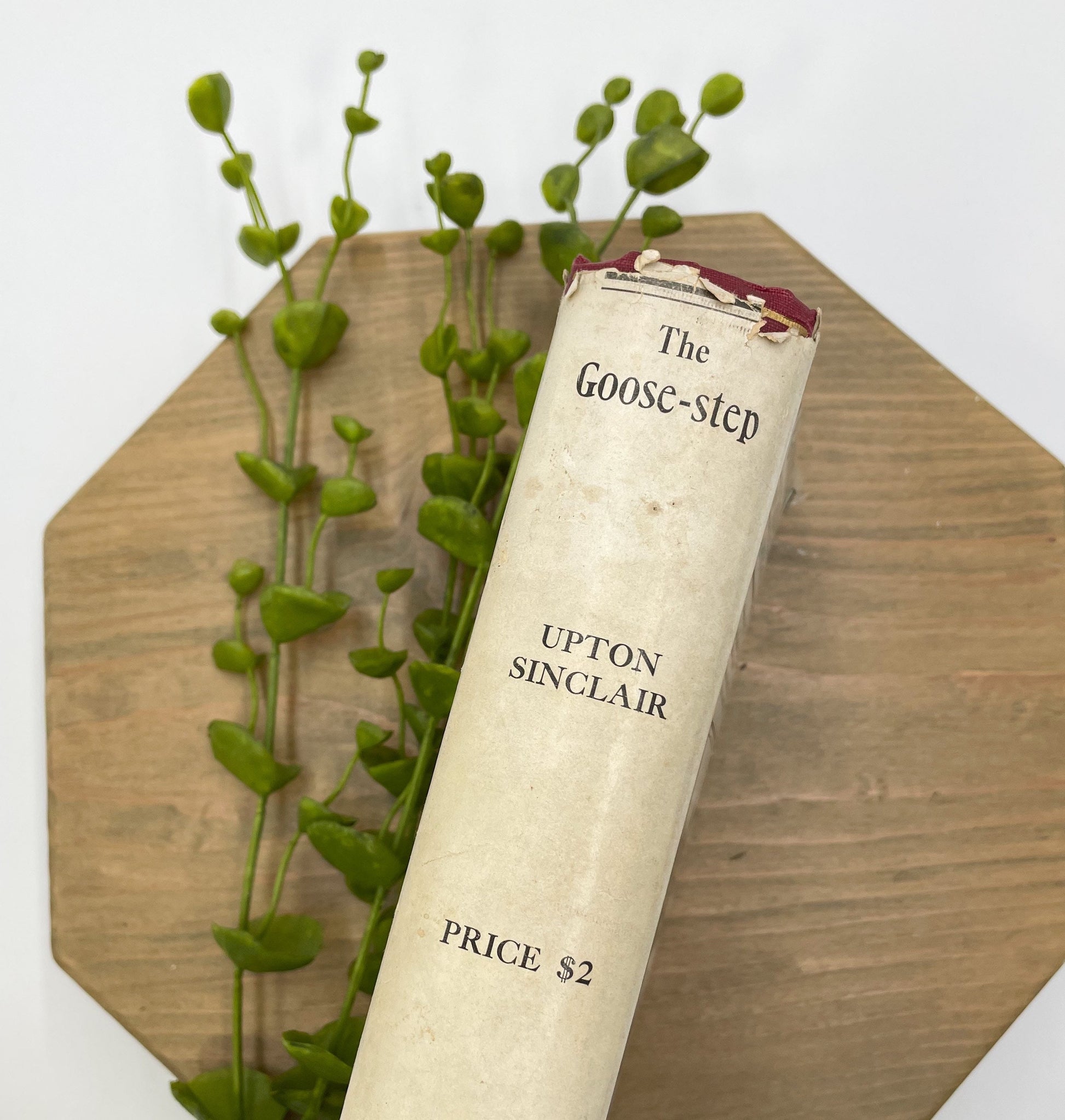 First Edition Vintage Book, The Goose-Step