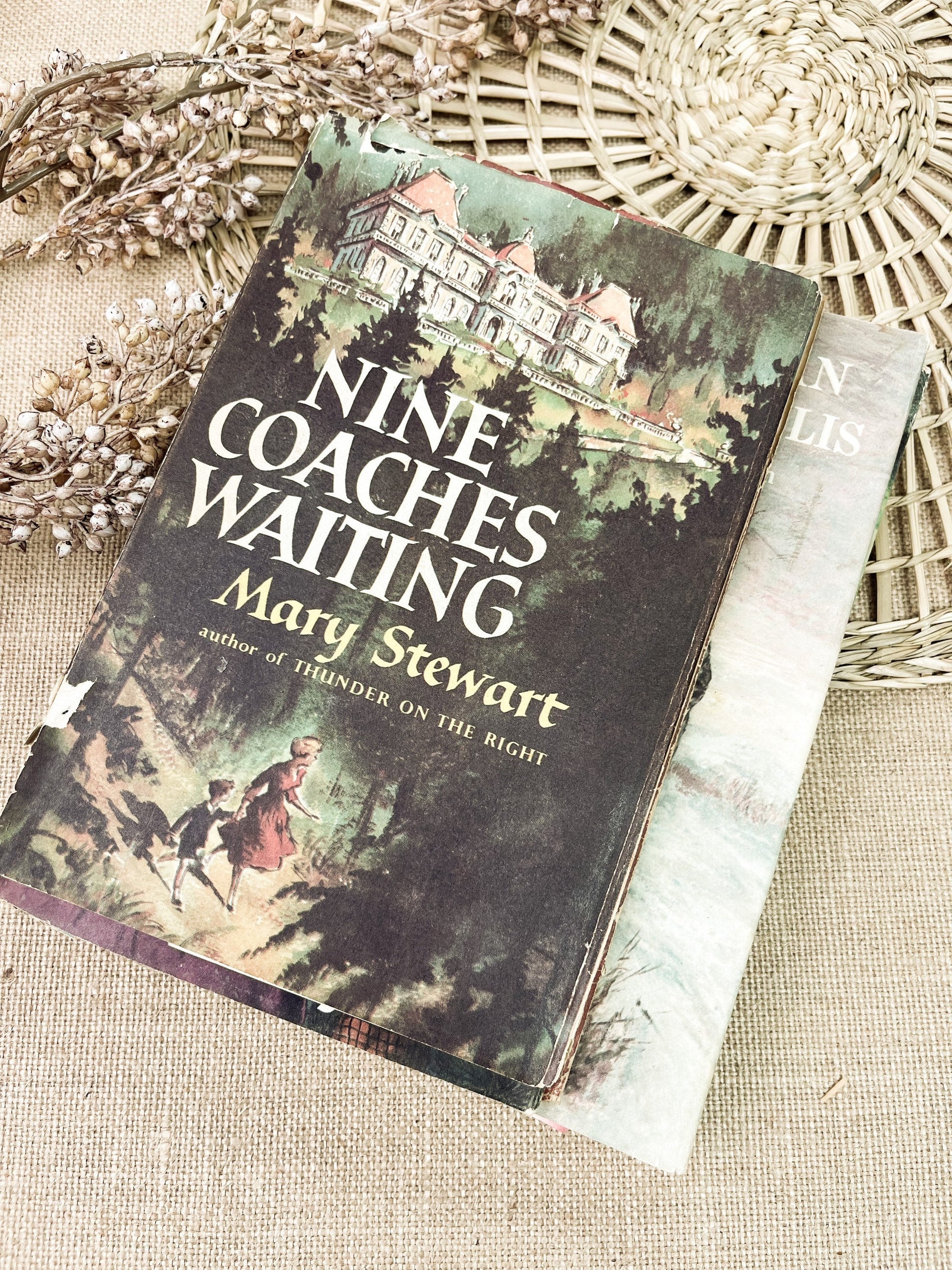 Ephemera for Junk Journaling, Vintage Book Dust Jackets