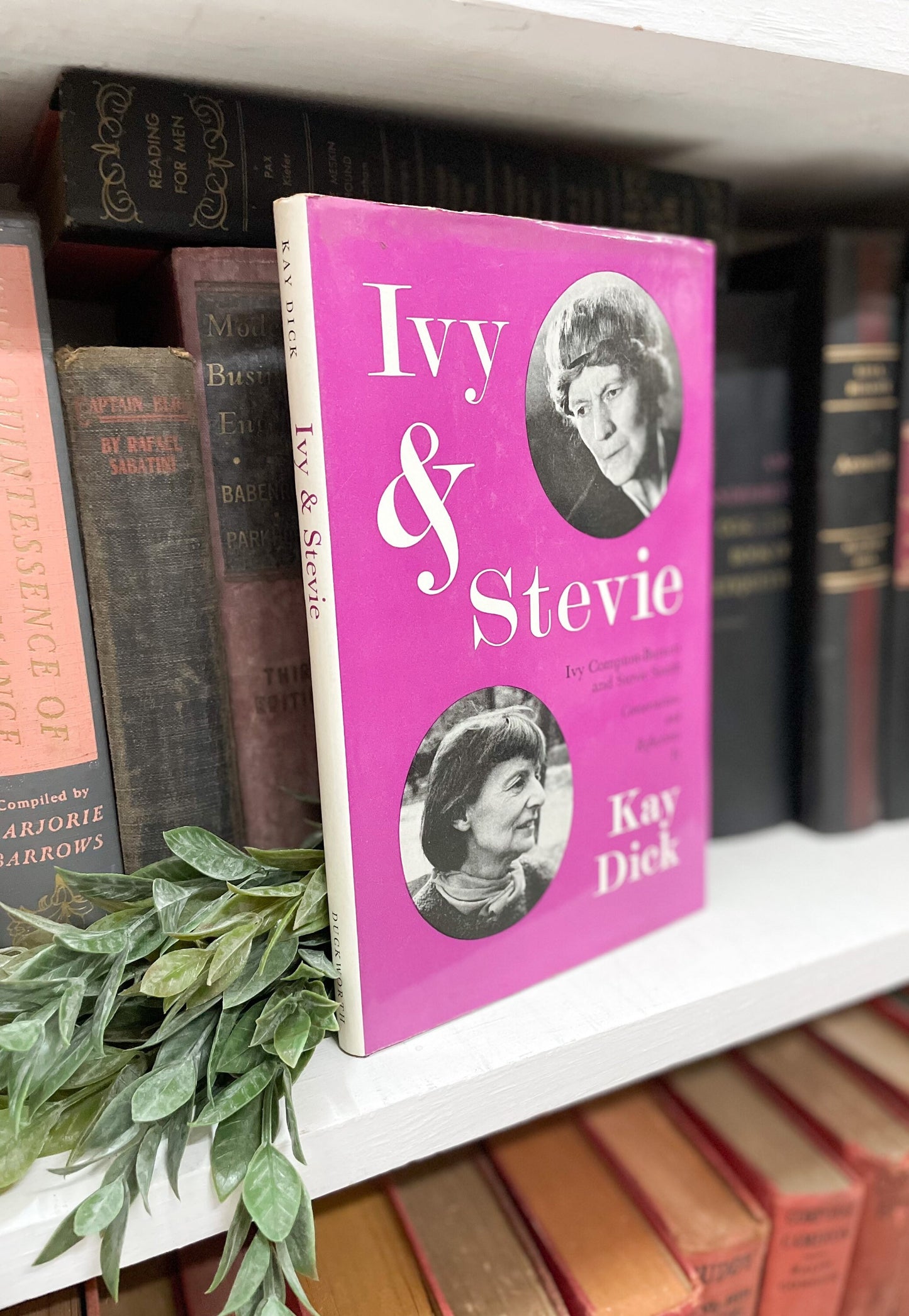 Beautiful Book, Ivy & Stevie by Kay Dick