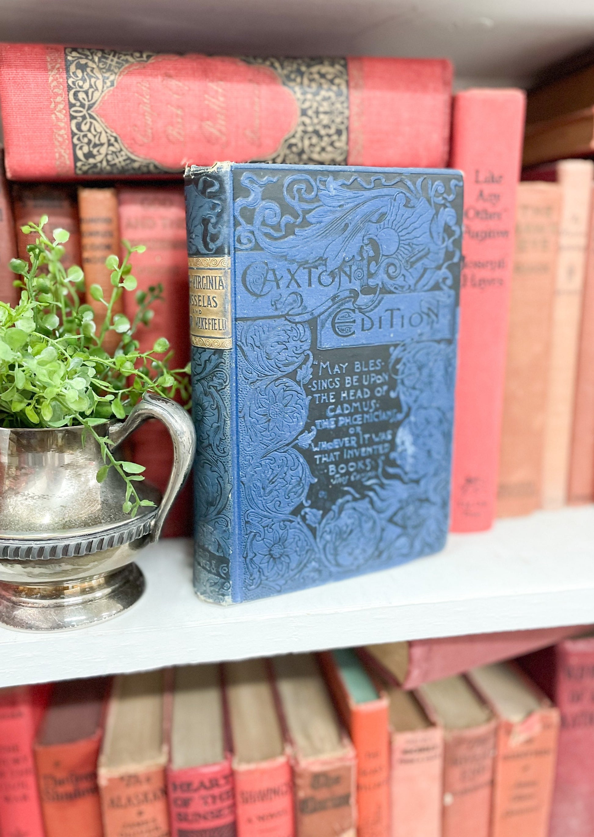 Beautiful Two-In-One Novels, Paul and Virginia by Bernardin De St. Pierre and The Vicar of Wakefield by Oliver Goldsmith
