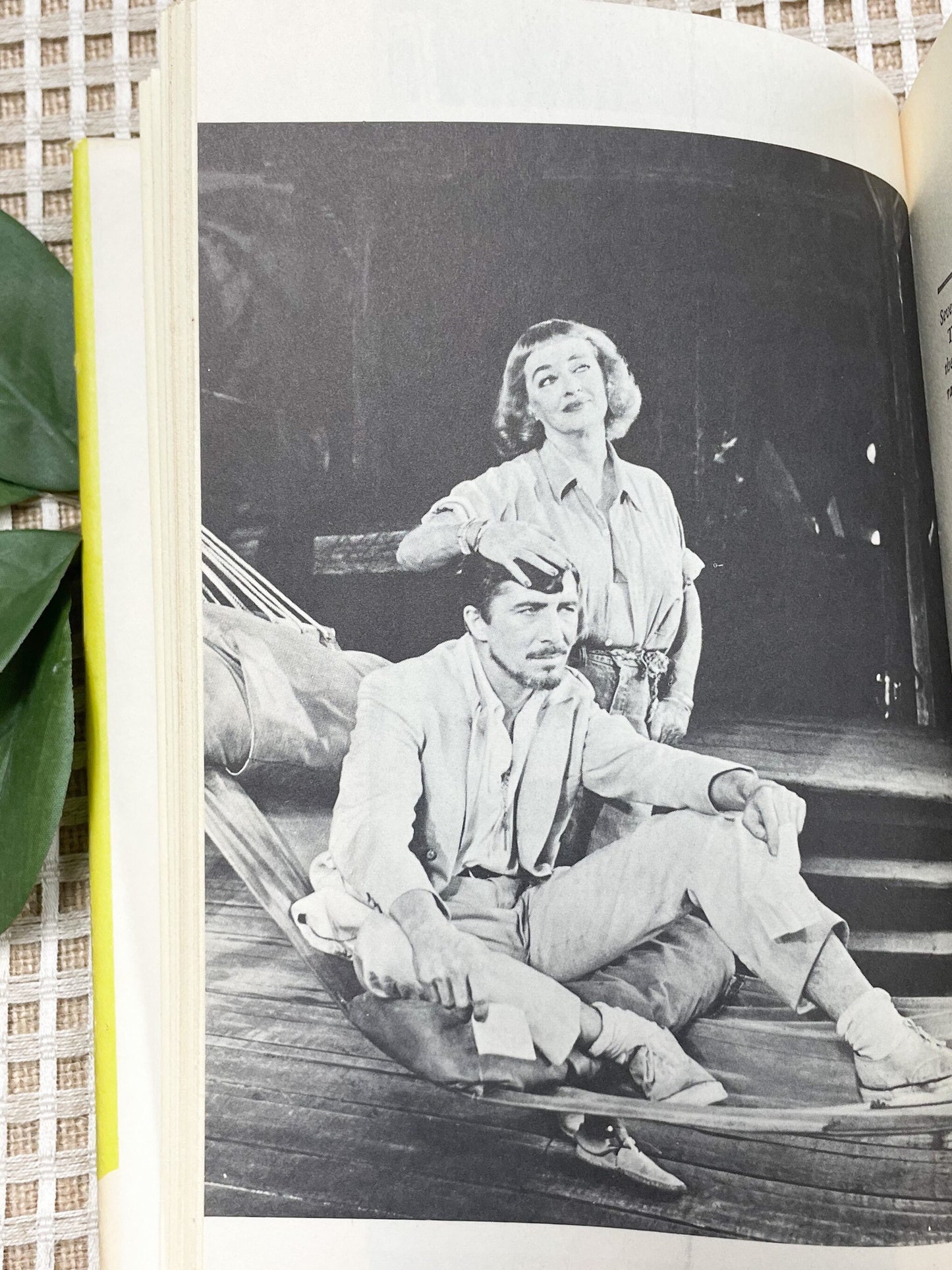 Vintage Classic, The Night of the Iguana