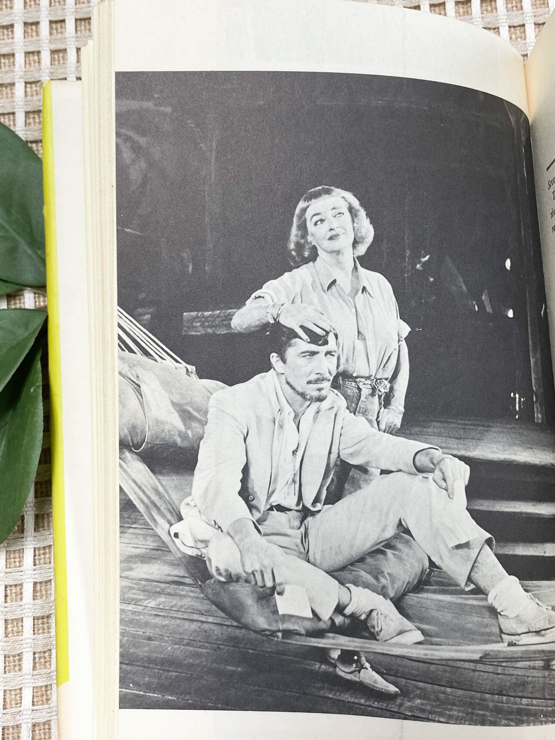 Vintage Classic, The Night of the Iguana