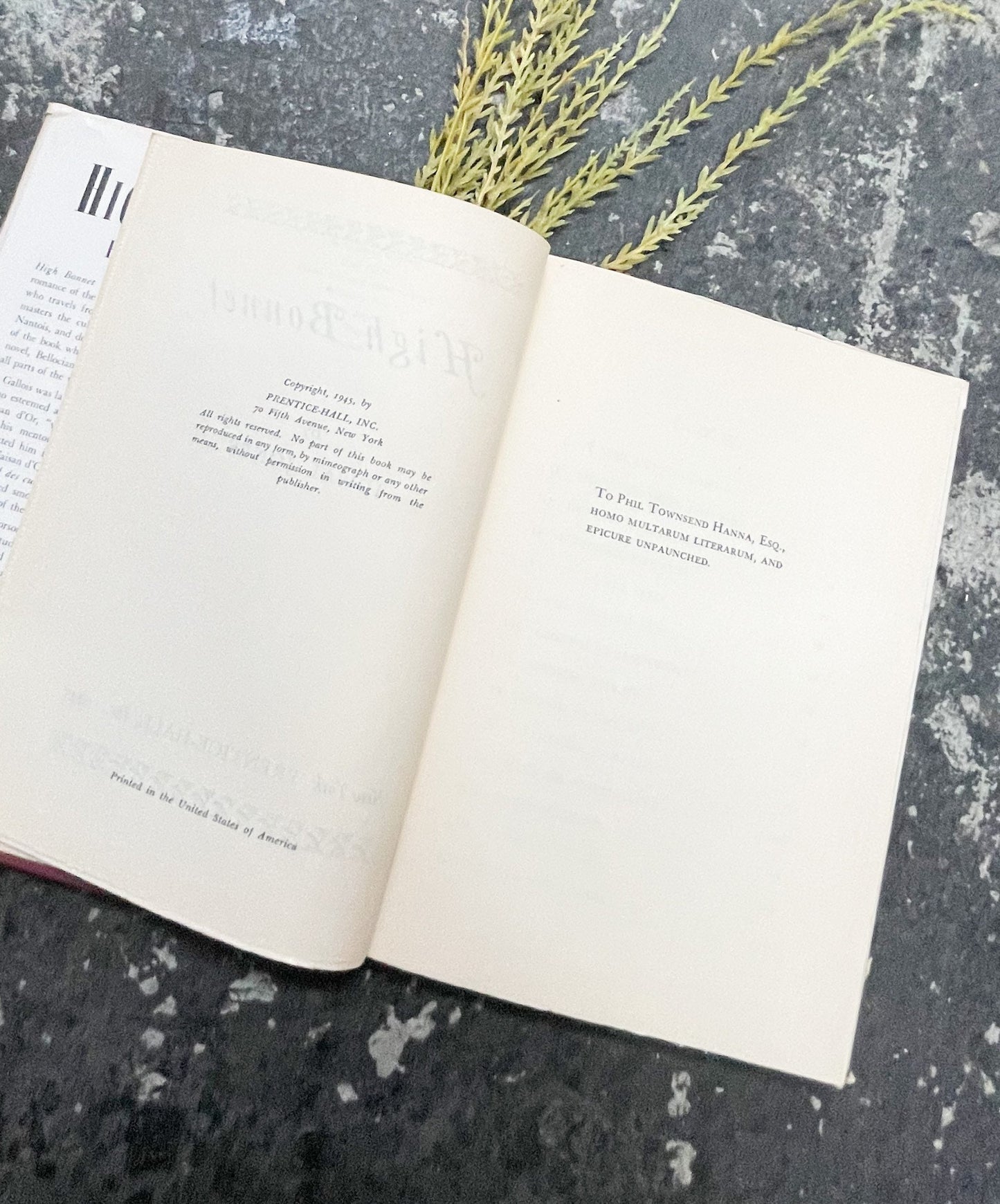 Rare Book, High Bonnet by Idwal Jones