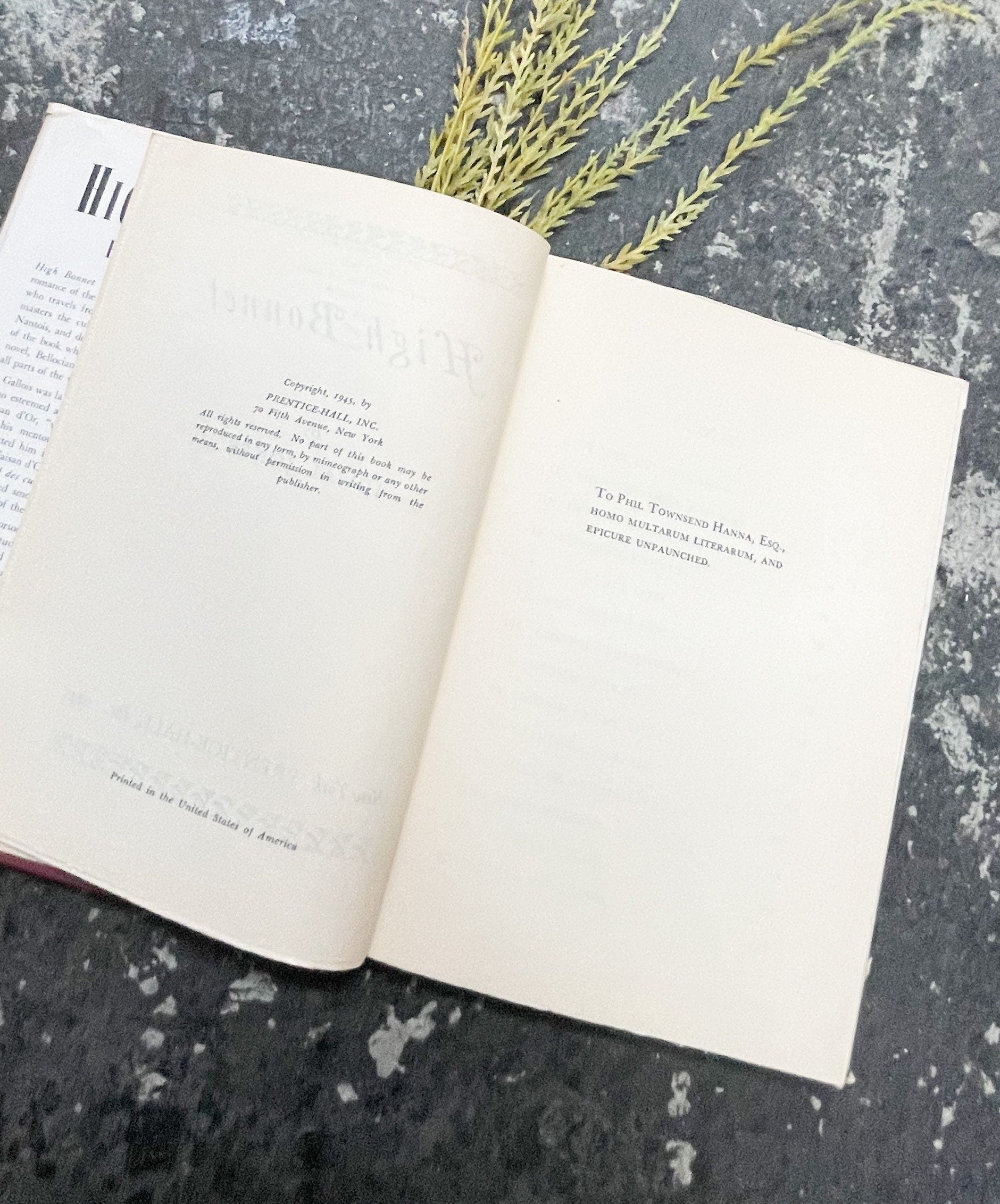 Rare Book, High Bonnet by Idwal Jones