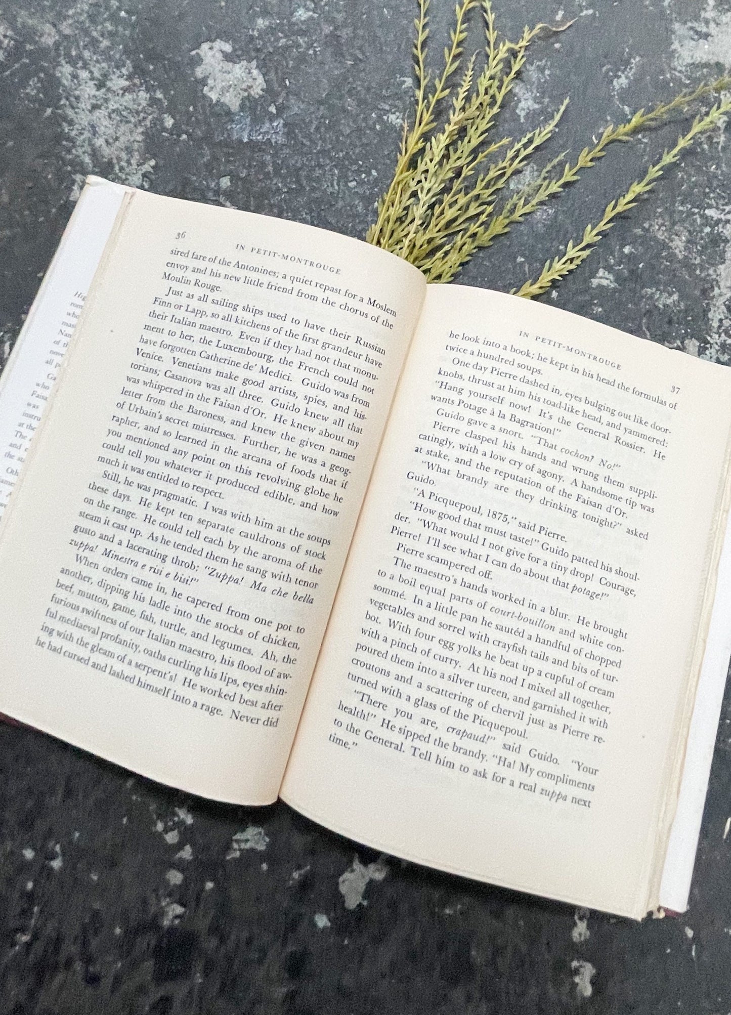 Rare Book, High Bonnet by Idwal Jones