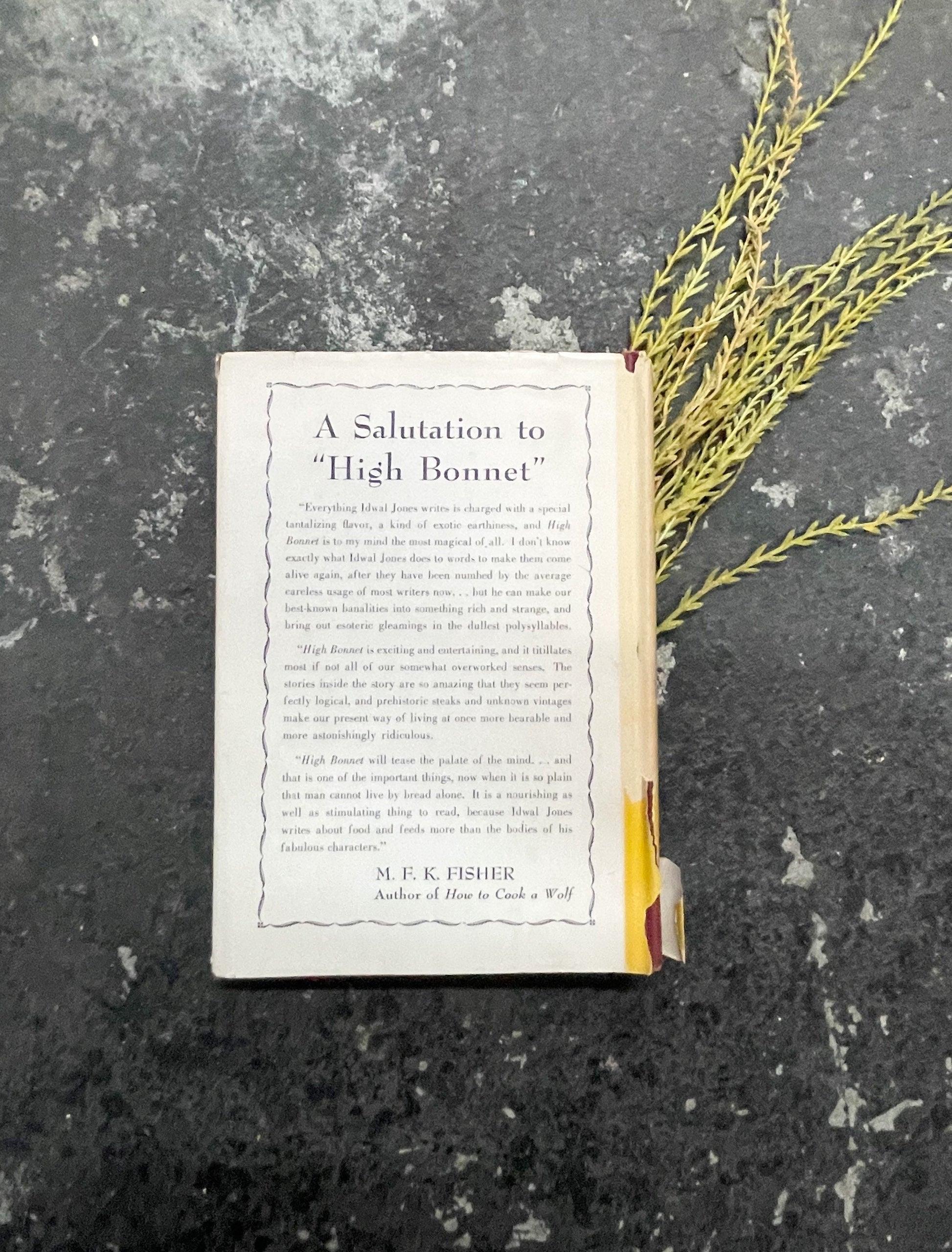 Rare Book, High Bonnet by Idwal Jones