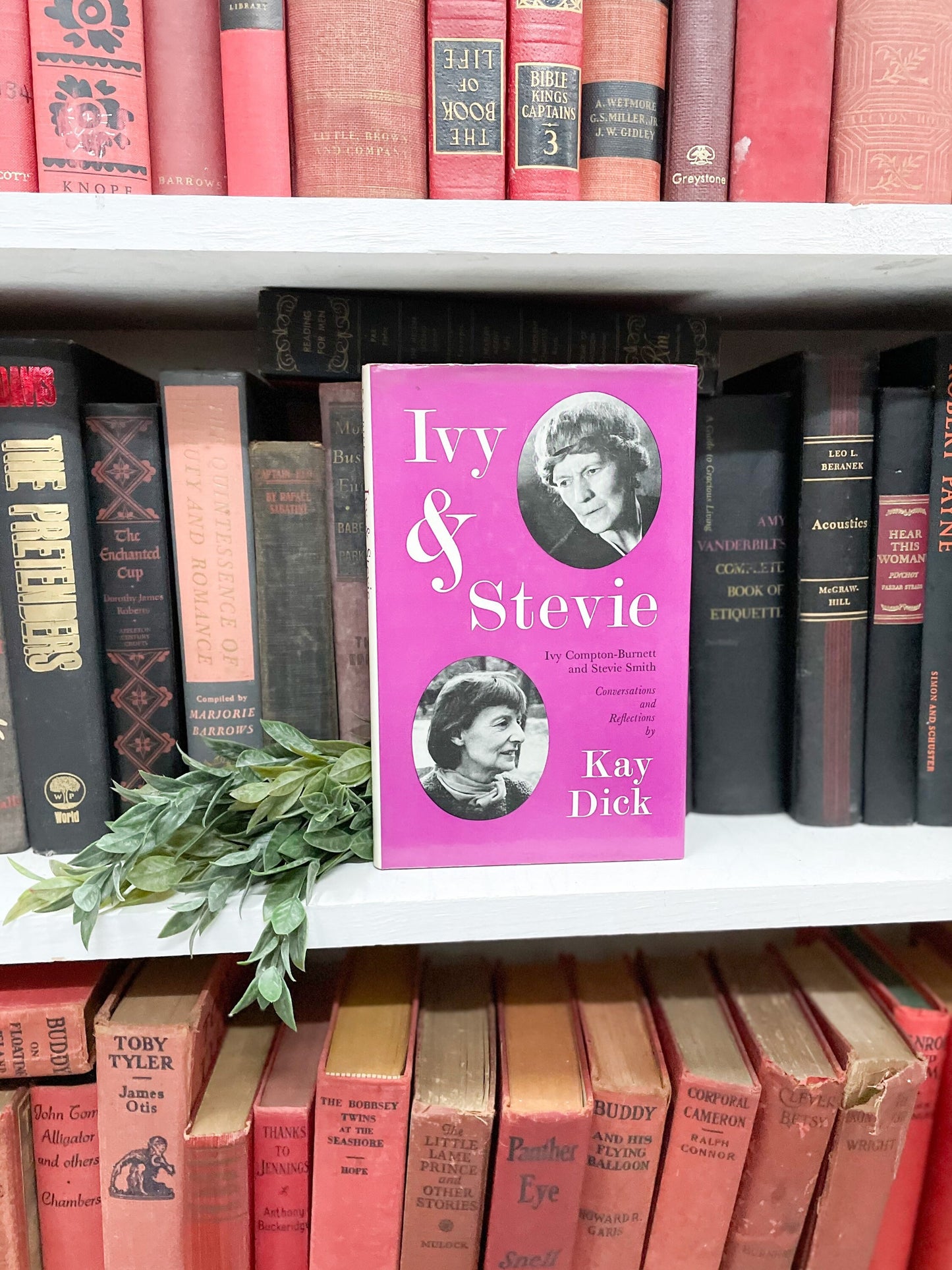 Beautiful Book, Ivy & Stevie by Kay Dick