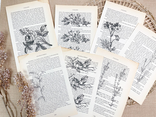 Botanical Prints for Scrapbooks, Junk Journals, and Card Making, Ephemera