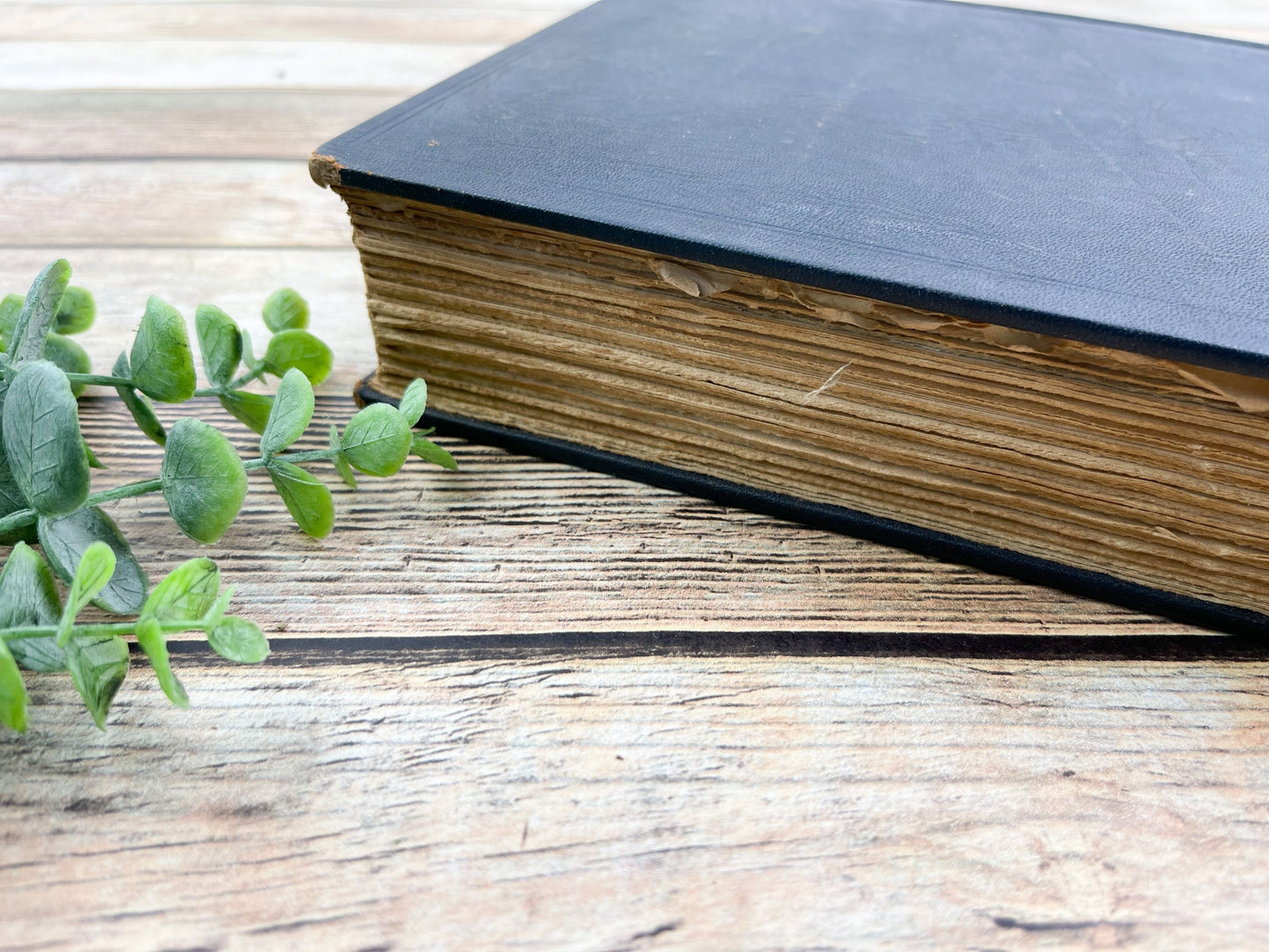 Books for Journaling, Journal Cover, Patina Book Pages