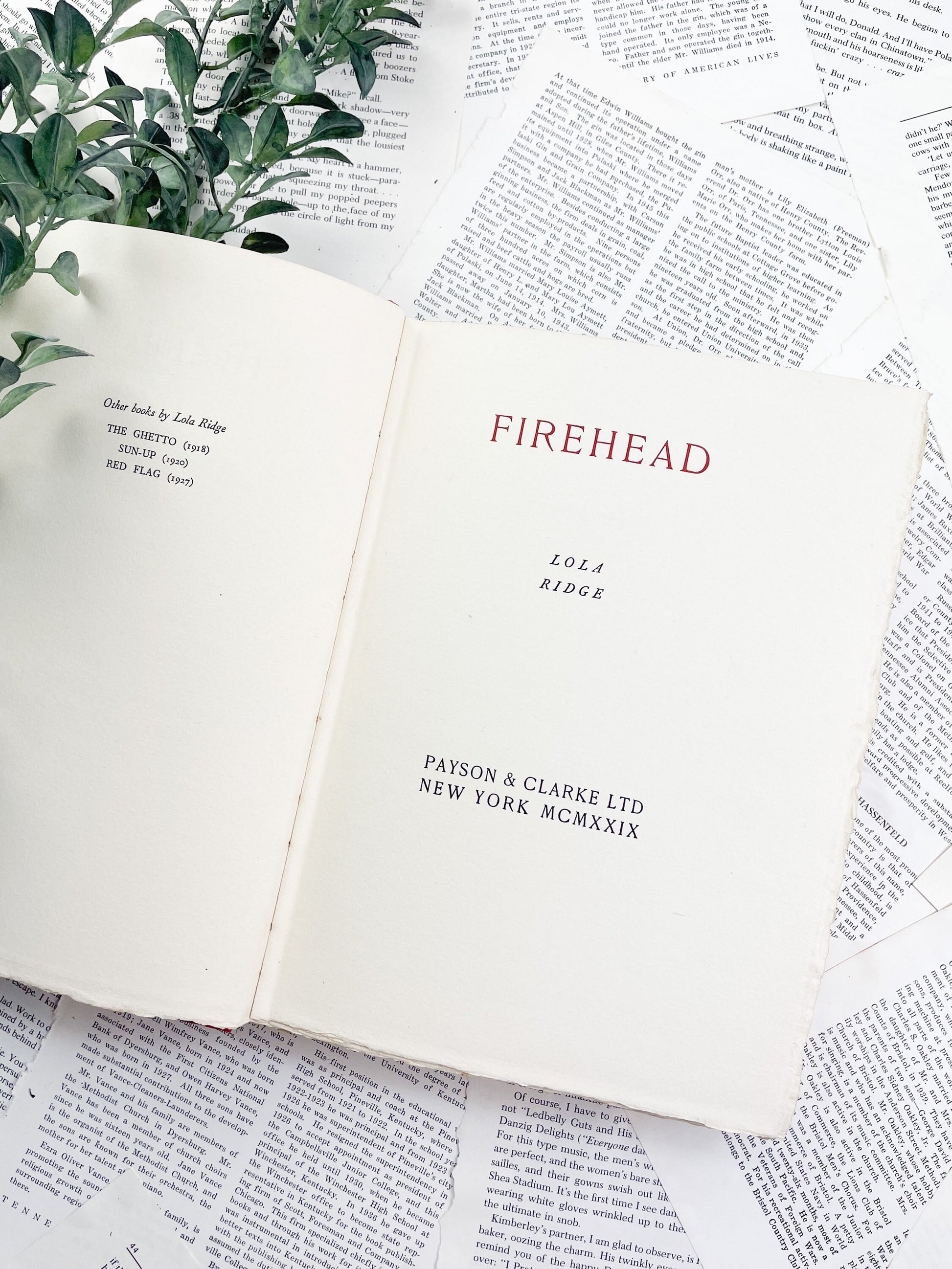 Rare Books, Firehead by Lola Ridge, Antique Poetry