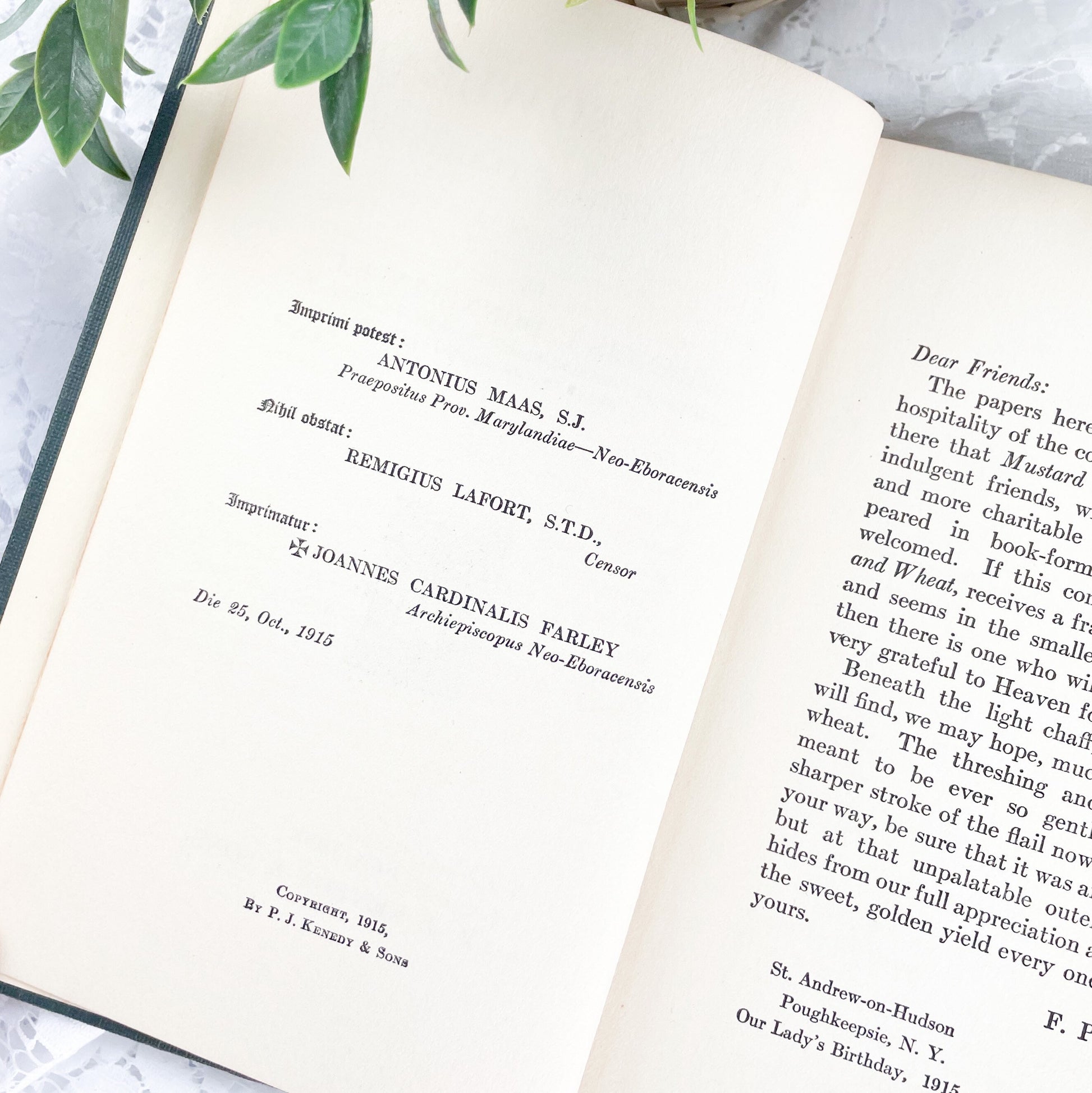 Rare Books, Signed Book, Chaff & Wheat A Few Gentle Flailings by Francis P. Donnelly