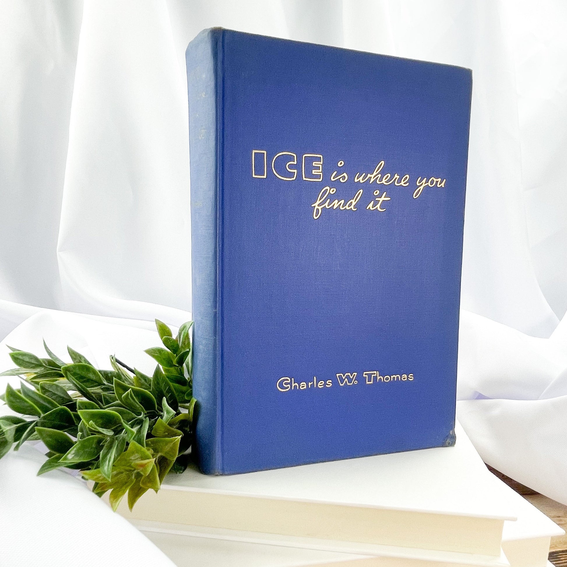 Rare Books, Vintage Book, Ice is Where You Find It by Charles W. Thomas