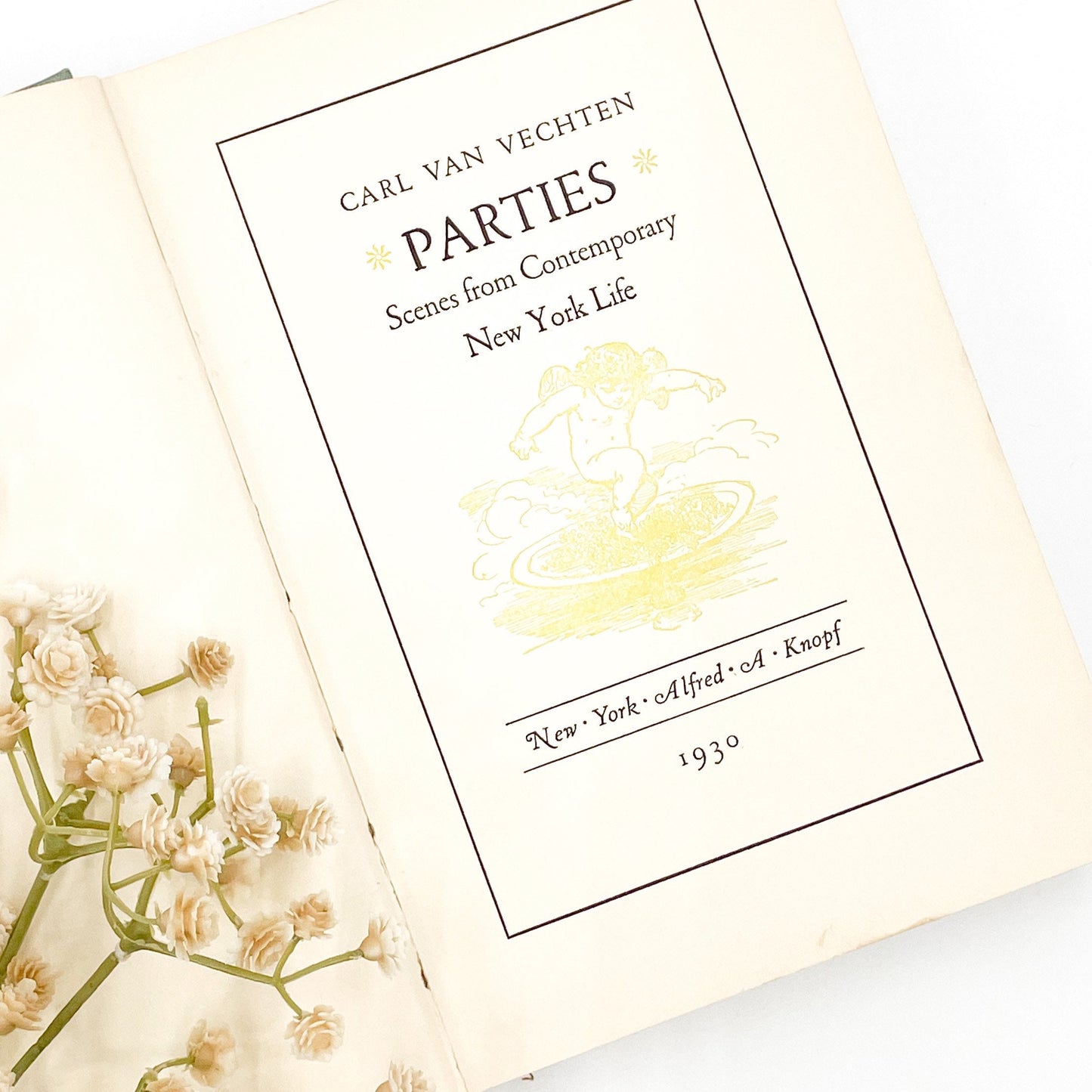Beautiful Vintage Book, Parties by Carl Van Vechten