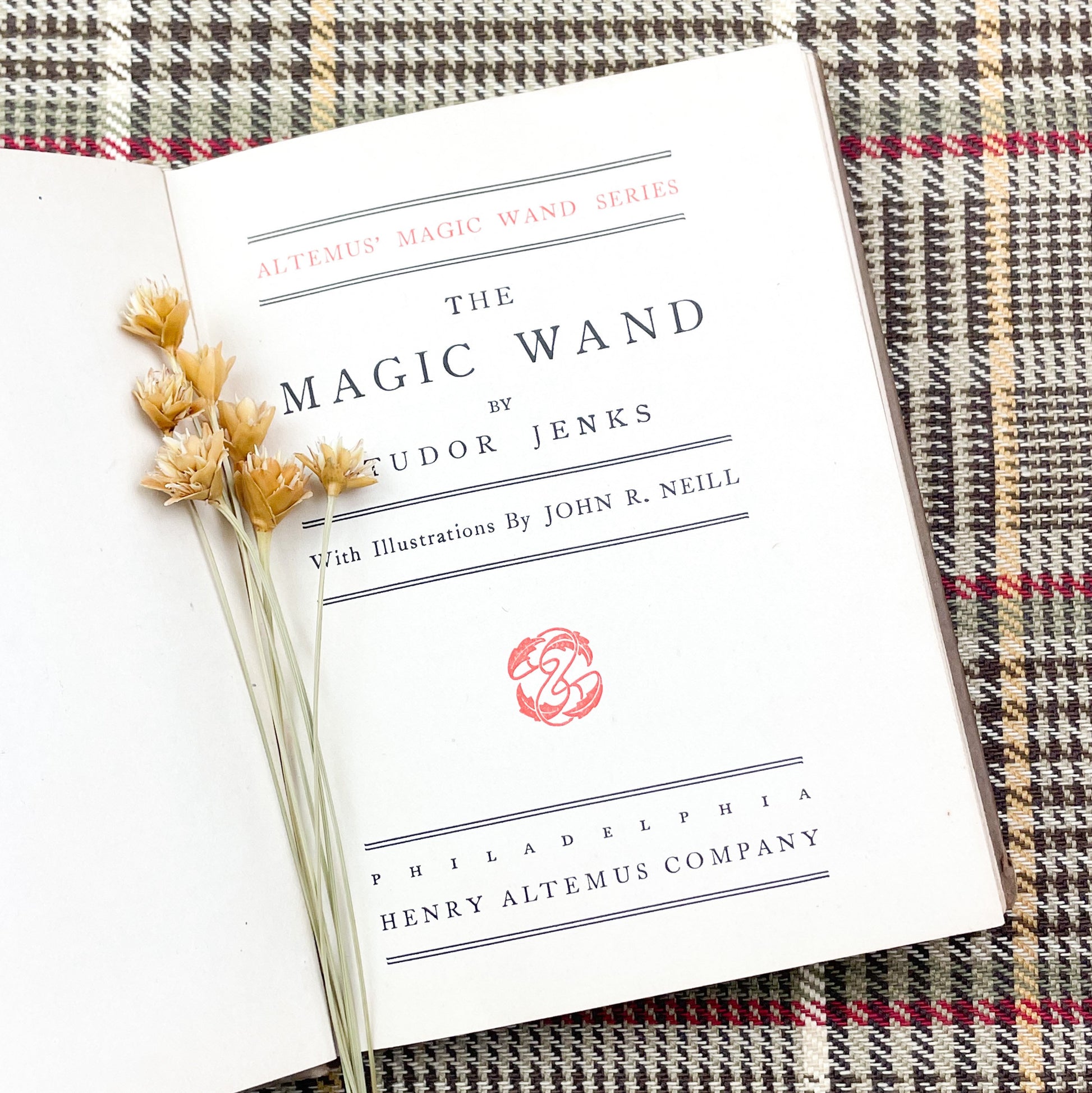 Antique Book, The Magic Wand by Tudor Jenks