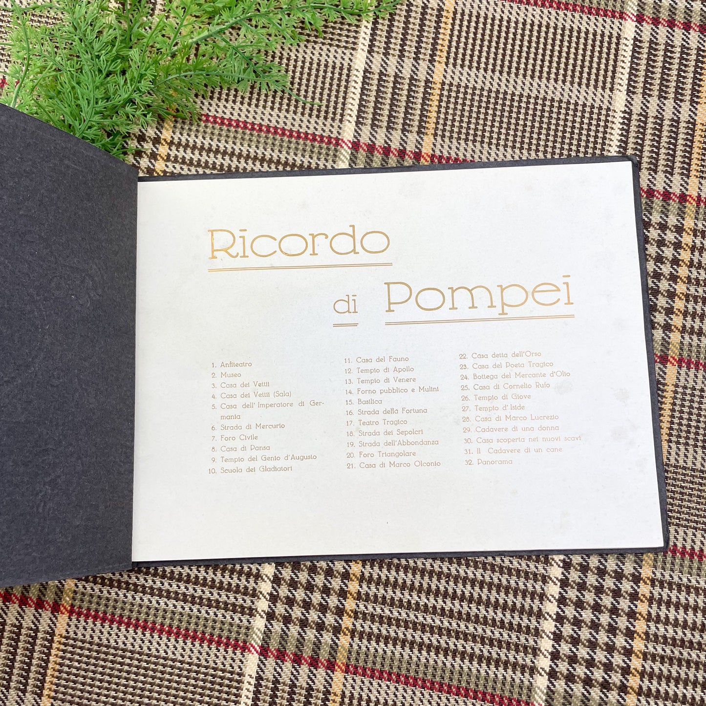 Rare Book Pamplet Book, Ricordo di Pompei, Pictures of Pompei