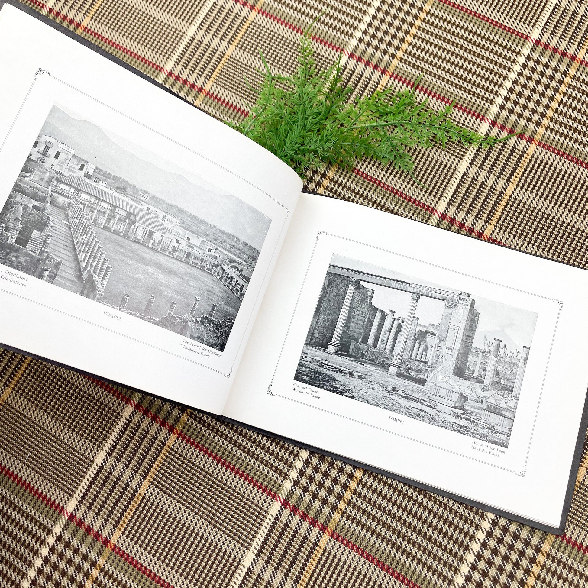 Rare Book Pamplet Book, Ricordo di Pompei, Pictures of Pompei