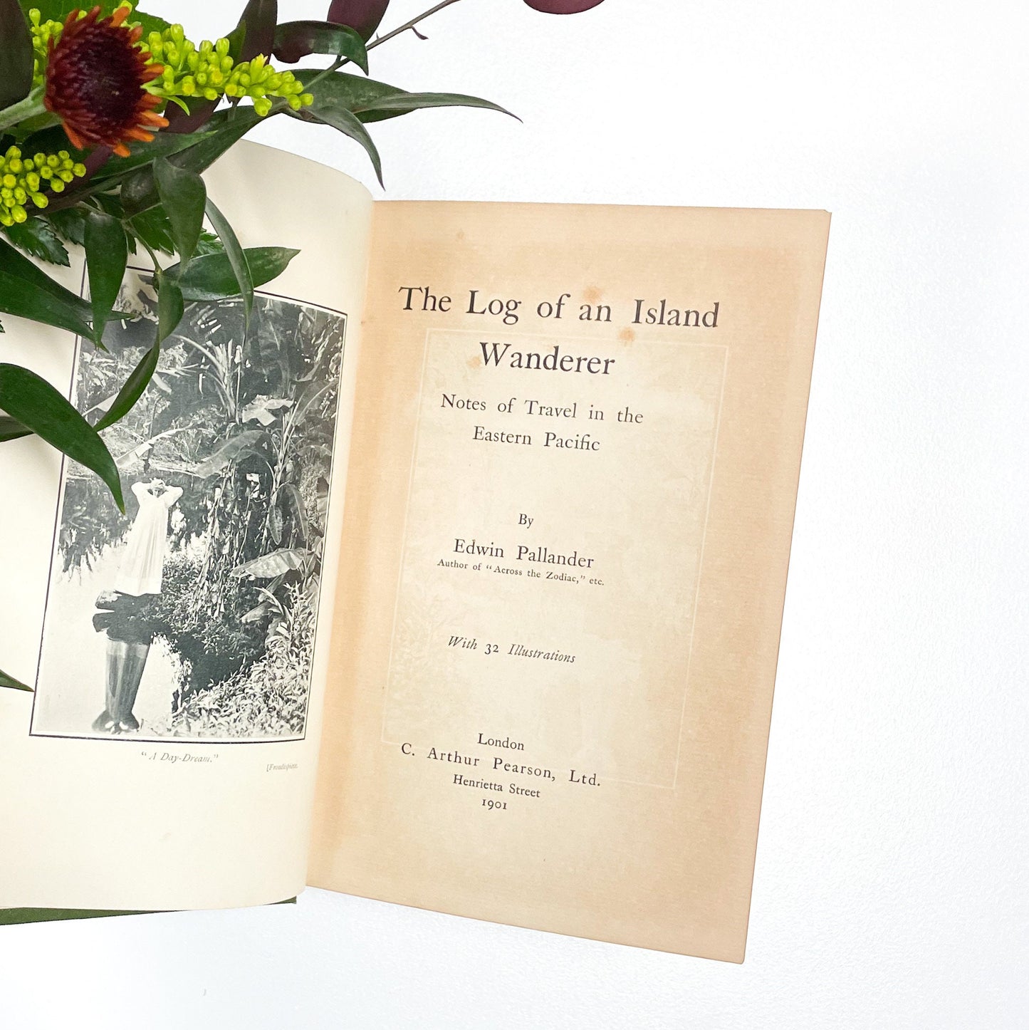 Antique Book, The Log of an Island Wanderer by Edwin Pallander