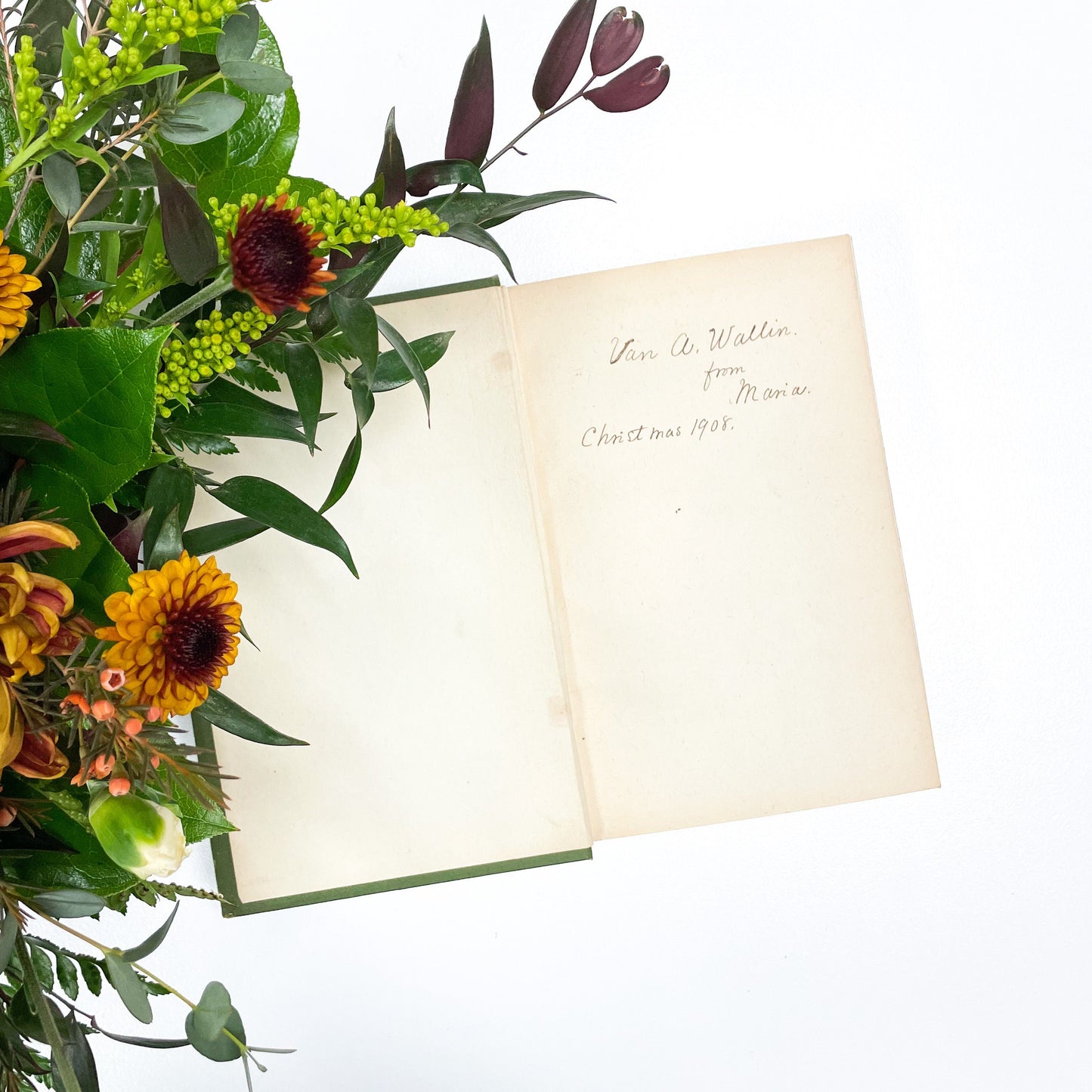 Antique Book, The Log of an Island Wanderer by Edwin Pallander