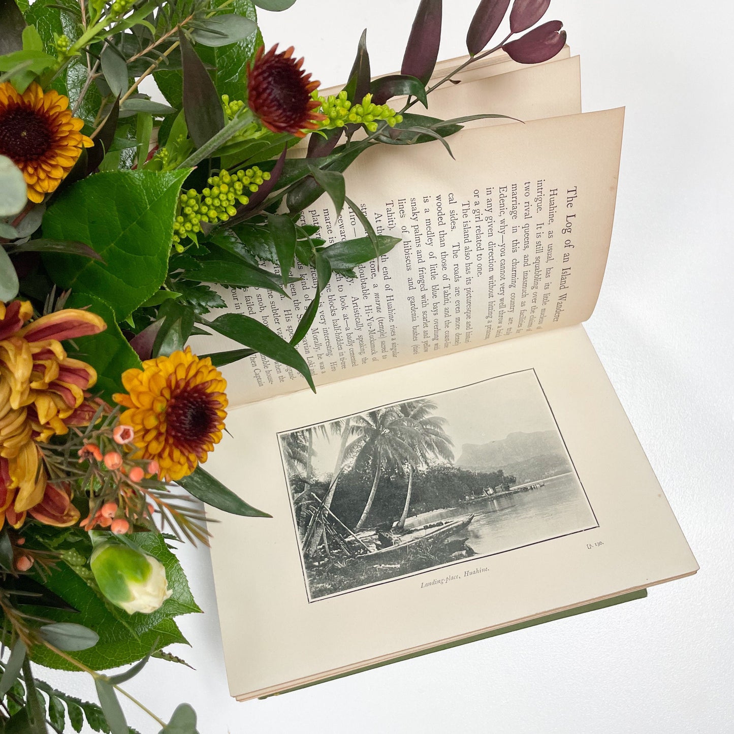 Antique Book, The Log of an Island Wanderer by Edwin Pallander