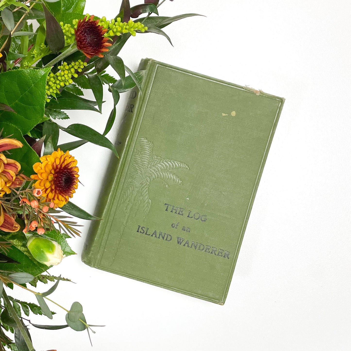 Antique Book, The Log of an Island Wanderer by Edwin Pallander