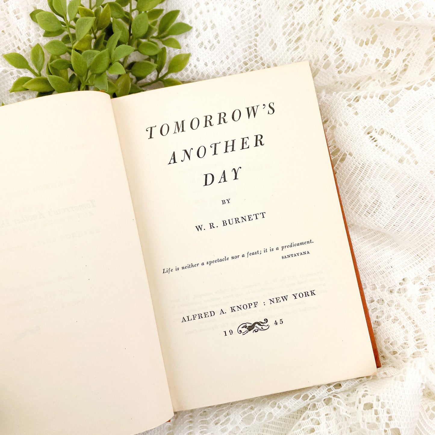 Vintage Book, Tomorrow's Another Day by W.R. Burnett