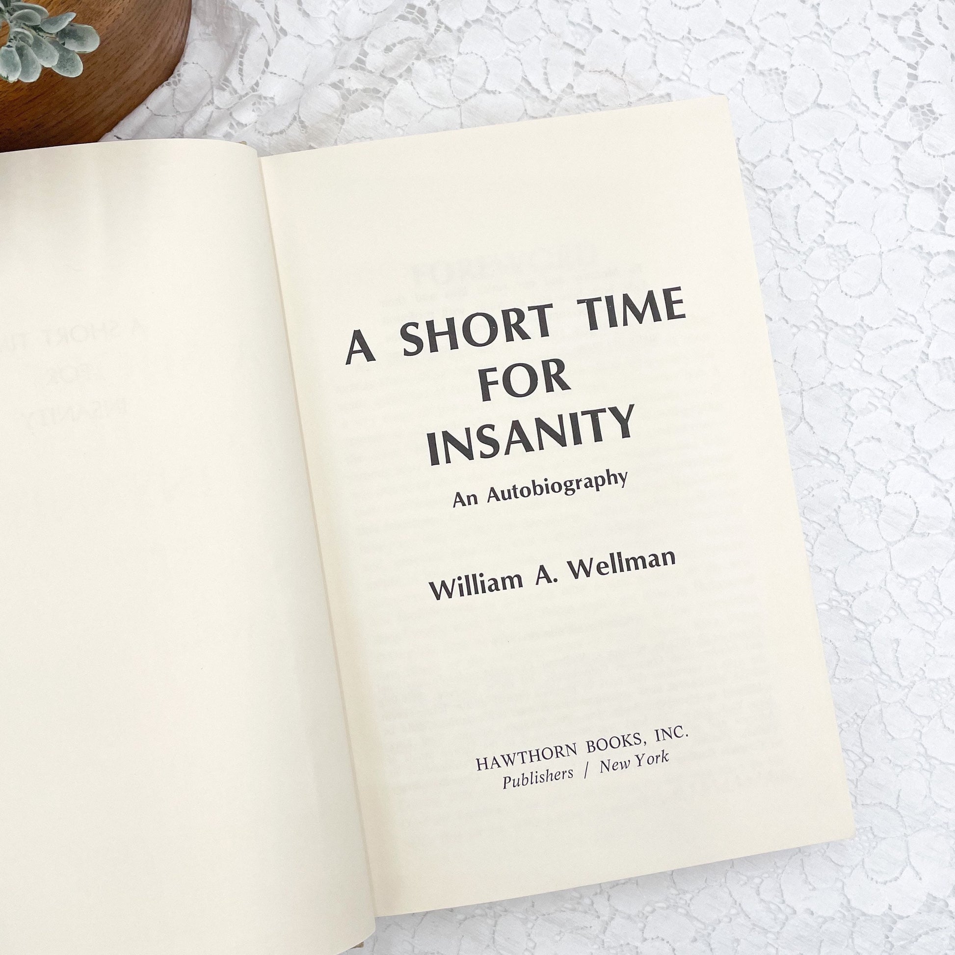 A Short Time for Insanity by William Wellman