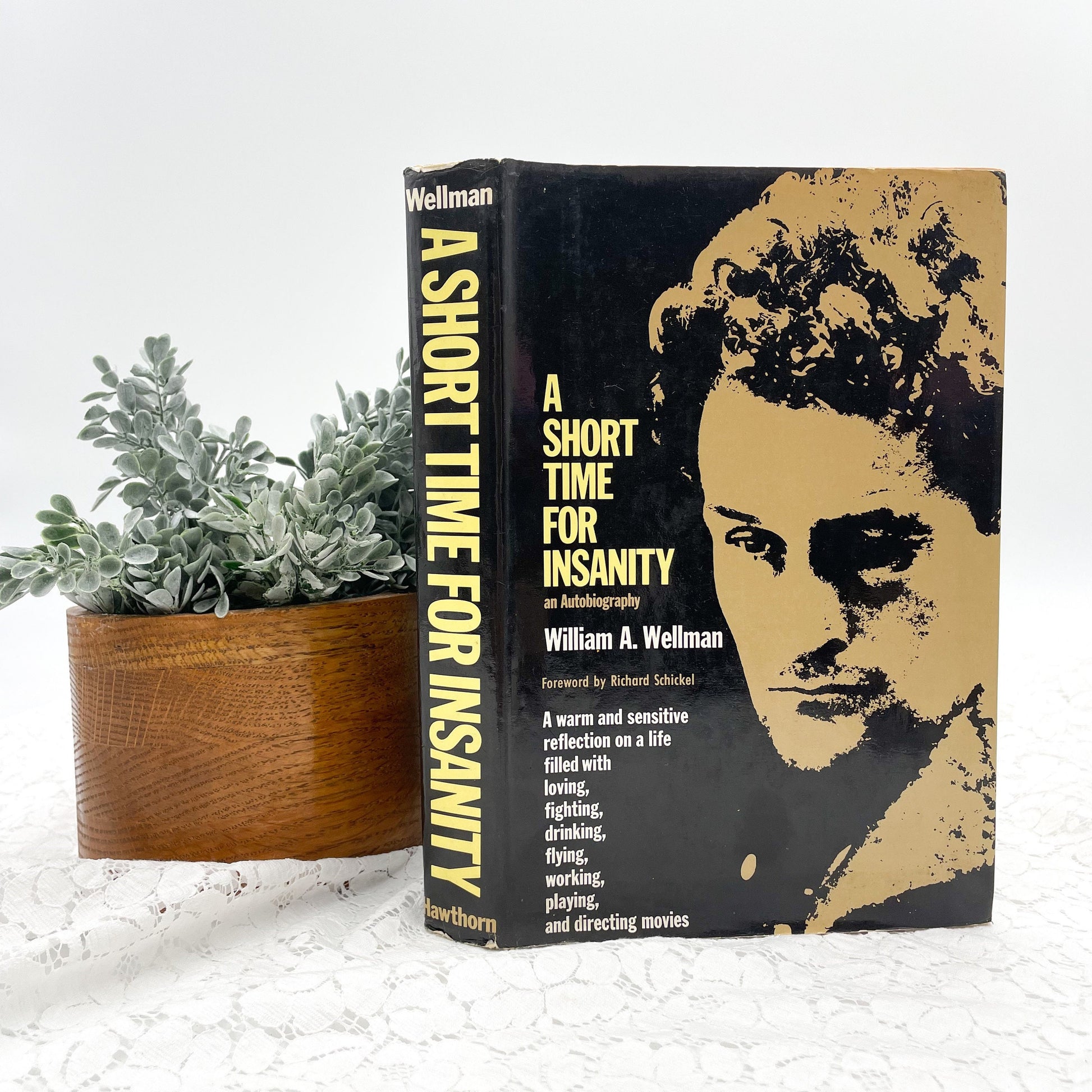 A Short Time for Insanity by William Wellman