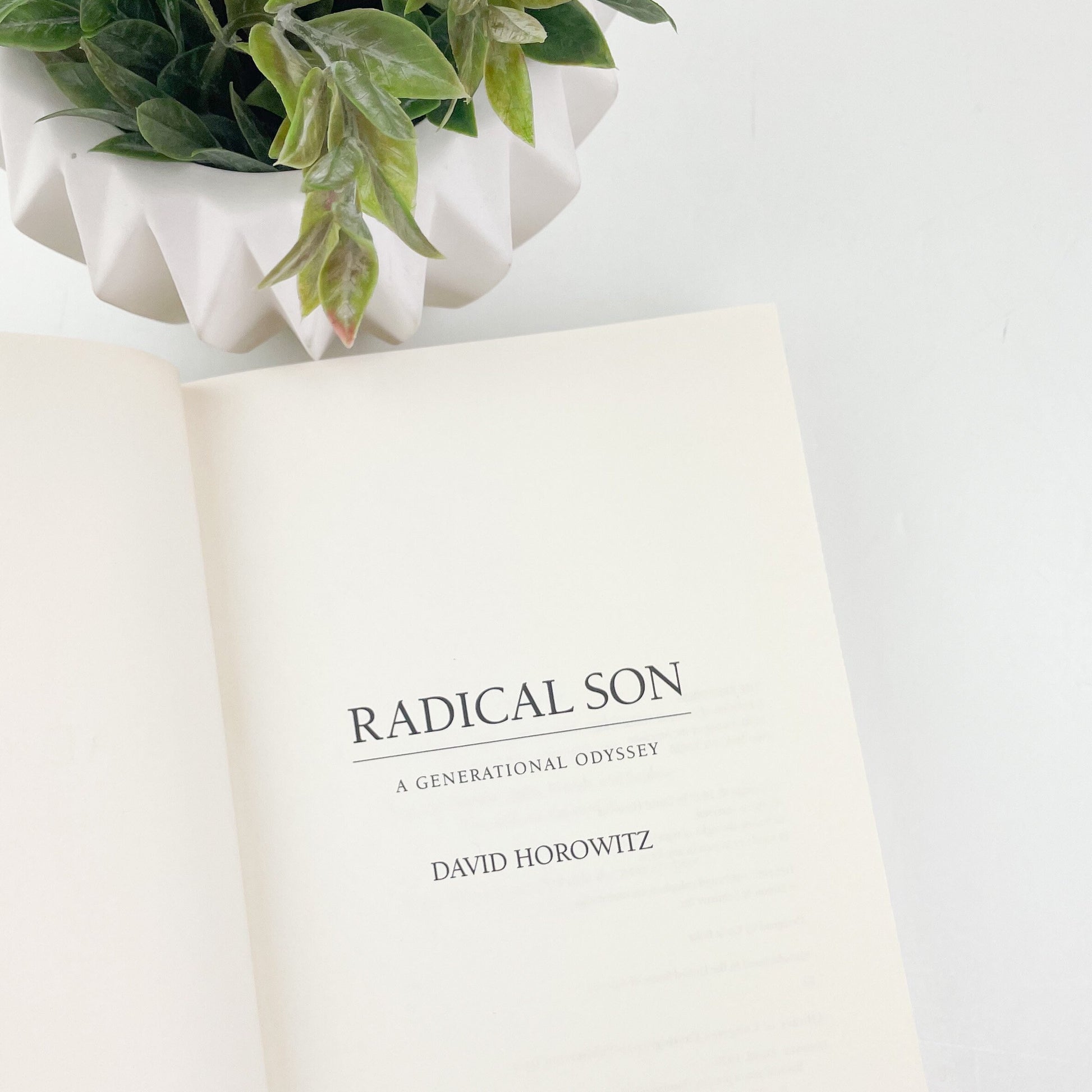 Radical Son by David Horowitz