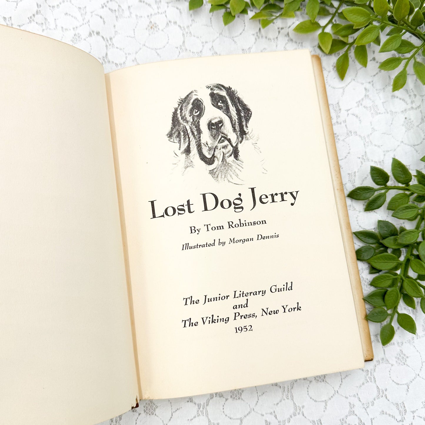Lost Dog Jerry by Tom Robinson